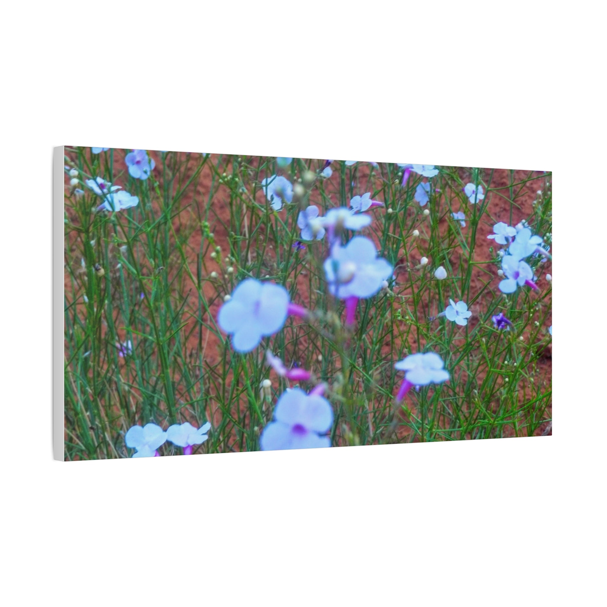 Floral Canvas Wall Art, Home Decor, Wall Hanging, Gift Idea, Nature Art, Flower Print