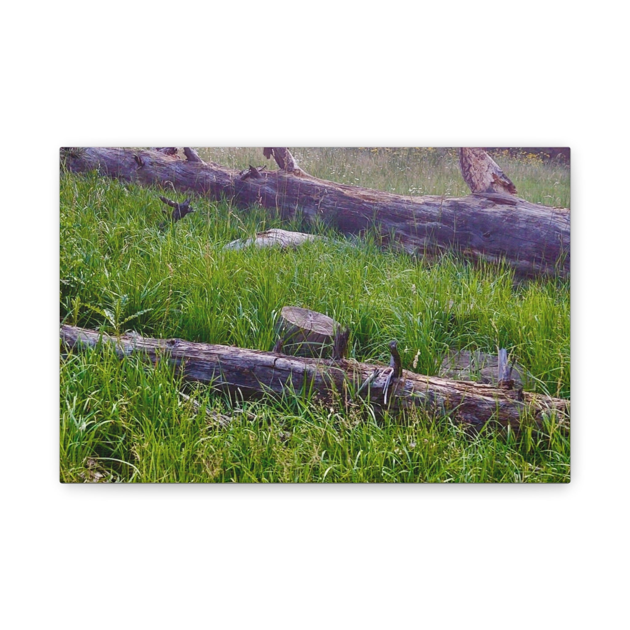 Classic Canvas Wall Art - Nature Decor, Outdoor Wall Hanging, Home Aesthetic, Gift for Nature Lovers, Rustic Cabin Decor