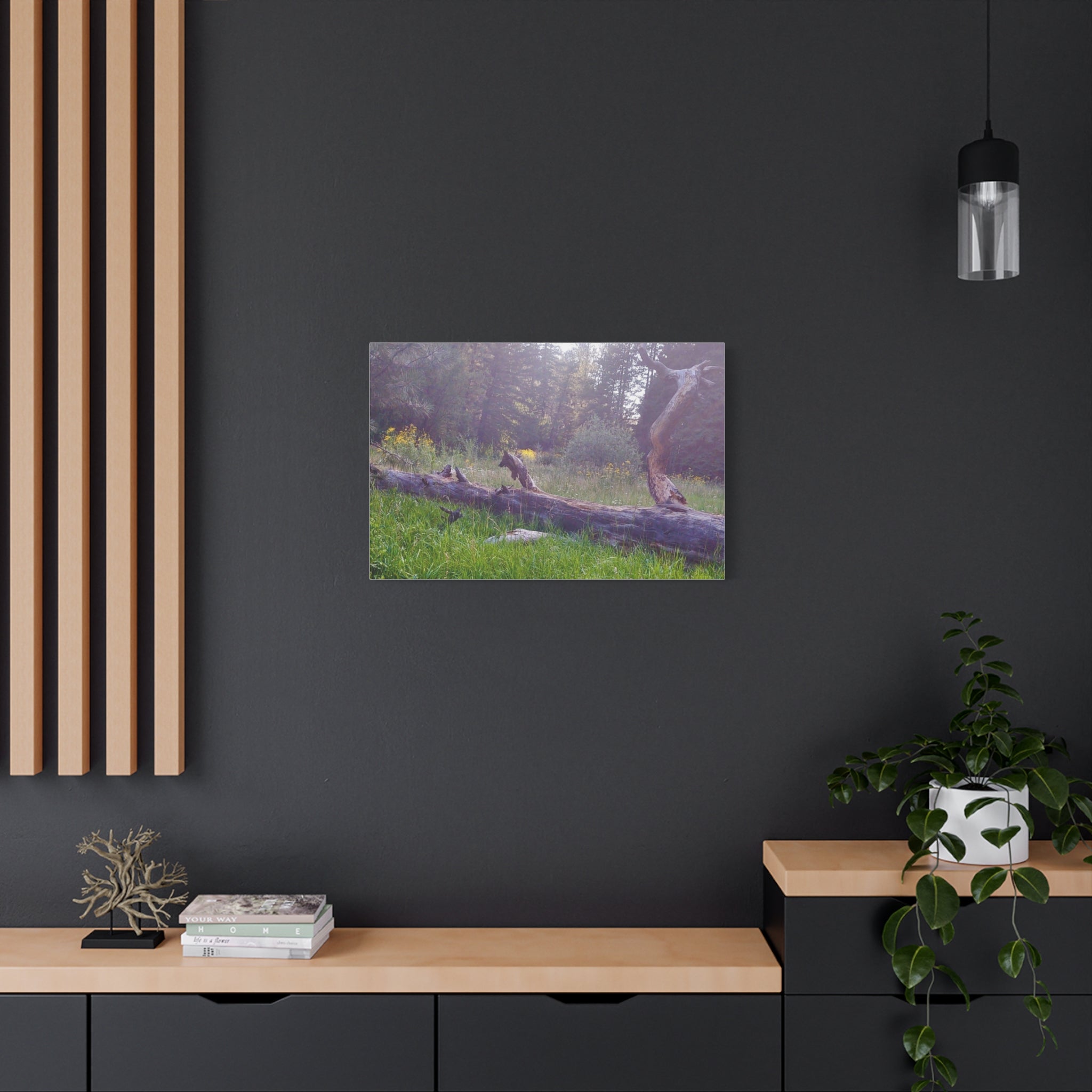 Matte Canvas Wall Art - Serene Nature Scene, Perfect for Home Decor, Gift for Nature Lovers, Office Wall Decoration, Rustic Art Print