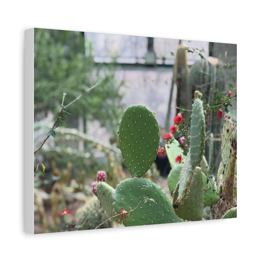 Cactus Matte Canvas Wall Art, Nature Decor, Southwestern Room Design, Green Plant Prints, Home and Office Wall Decor
