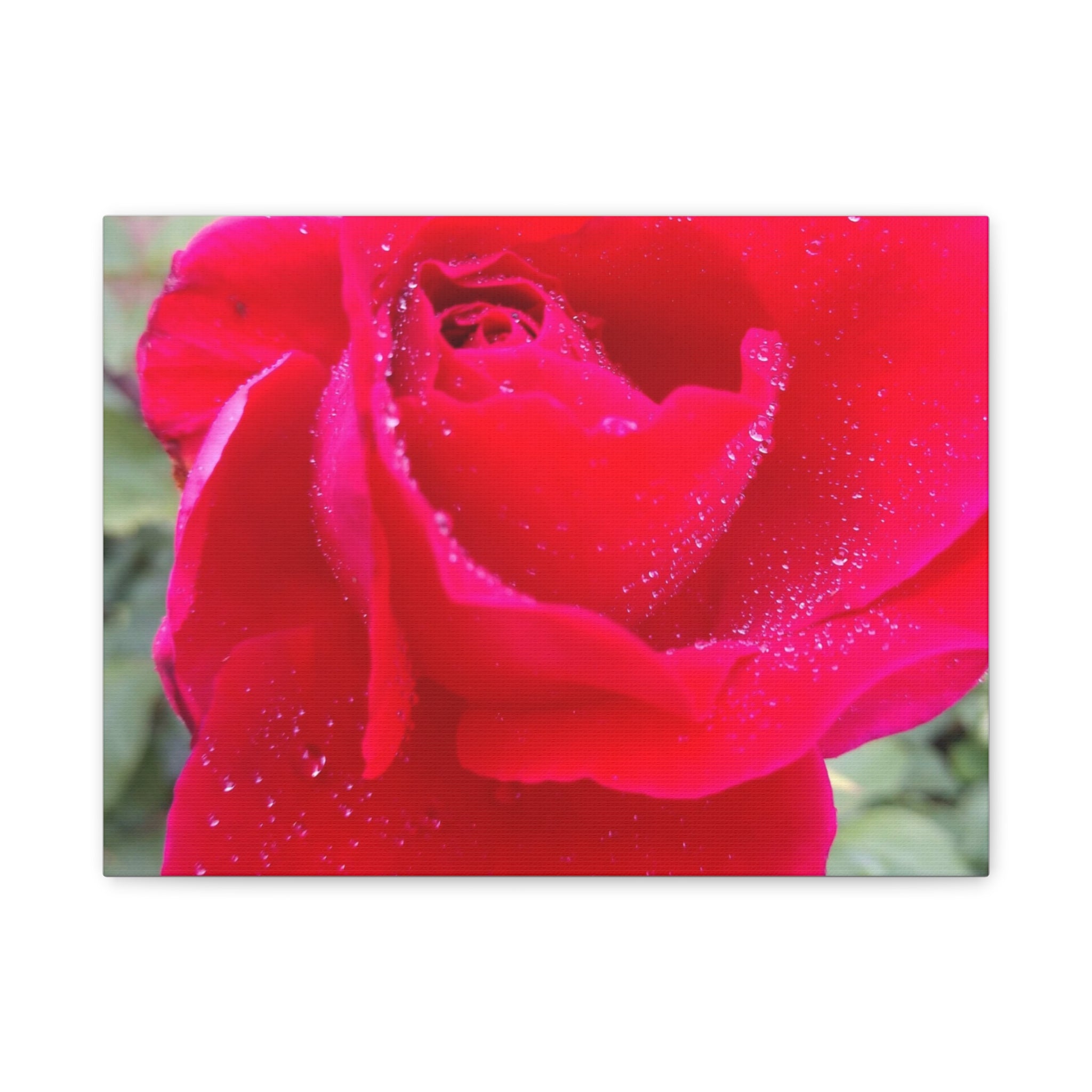 Stunning Floral Canvas Print, Home Decor, Wall Art, Gift for Flower Lovers, Red Rose Art, Mother's Day Gift