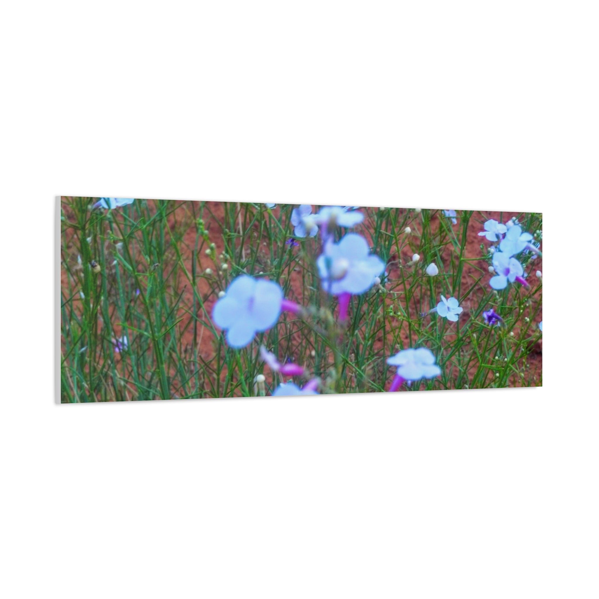 Floral Canvas Wall Art, Home Decor, Wall Hanging, Gift Idea, Nature Art, Flower Print