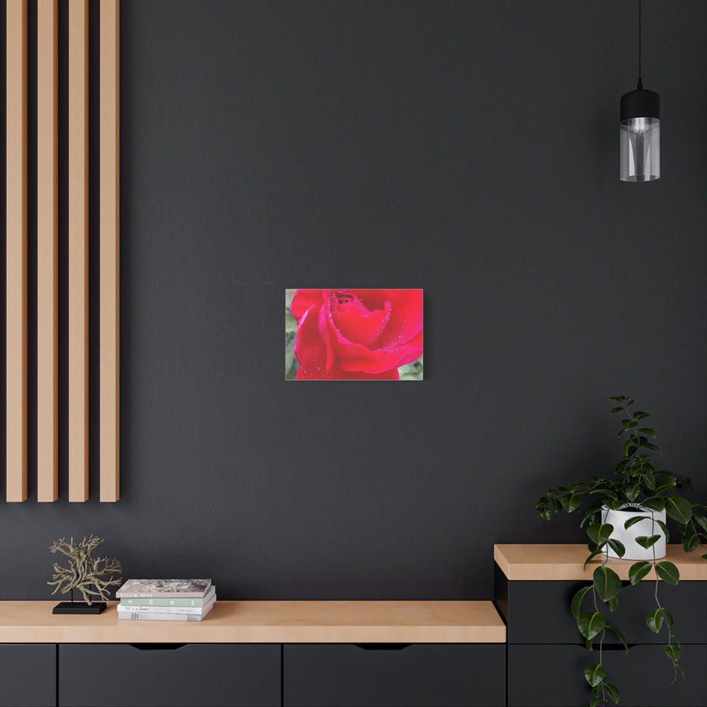 Stunning Floral Canvas Print, Home Decor, Wall Art, Gift for Flower Lovers, Red Rose Art, Mother's Day Gift