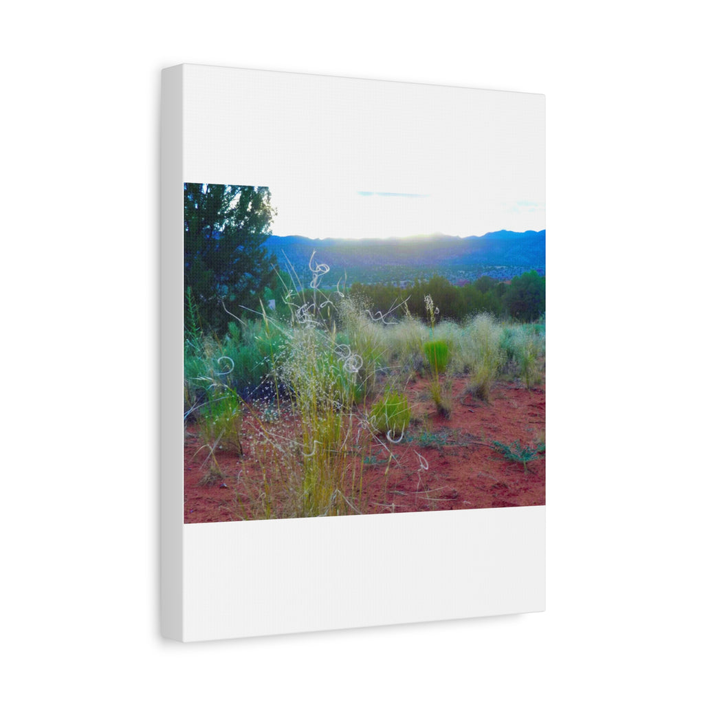 Stretched Canvas Art Print, Nature Wall Decor, Boho Home Decor, Rustic Landscape Art, Gift for Nature Lovers