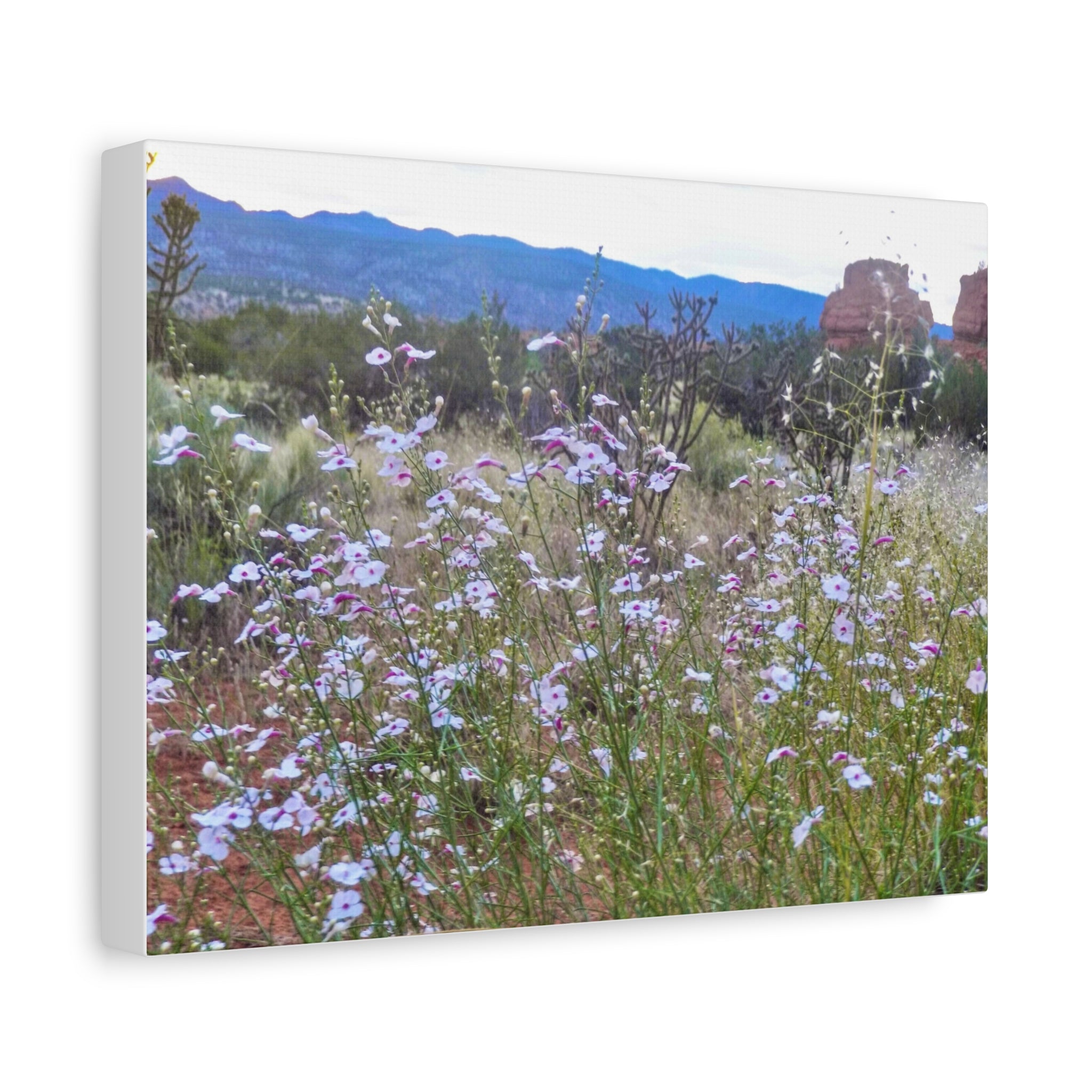 Floral Canvas Art Print, Nature Decor for Home, Wall Art for Office, Gift for Garden Lovers, Botanical Wall Decor, Spring Vibes