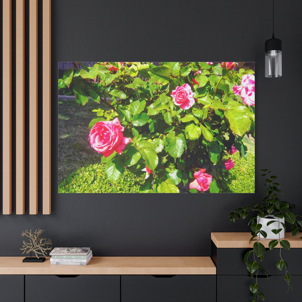 Floral Canvas Wall Art, Pink Rose Decor, Home Gallery Piece, Flower Photography, Garden Wall Decor, Floral Print