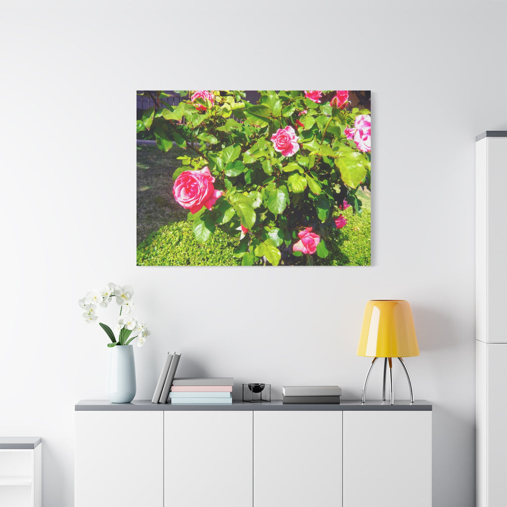 Floral Canvas Wall Art, Pink Rose Decor, Home Gallery Piece, Flower Photography, Garden Wall Decor, Floral Print