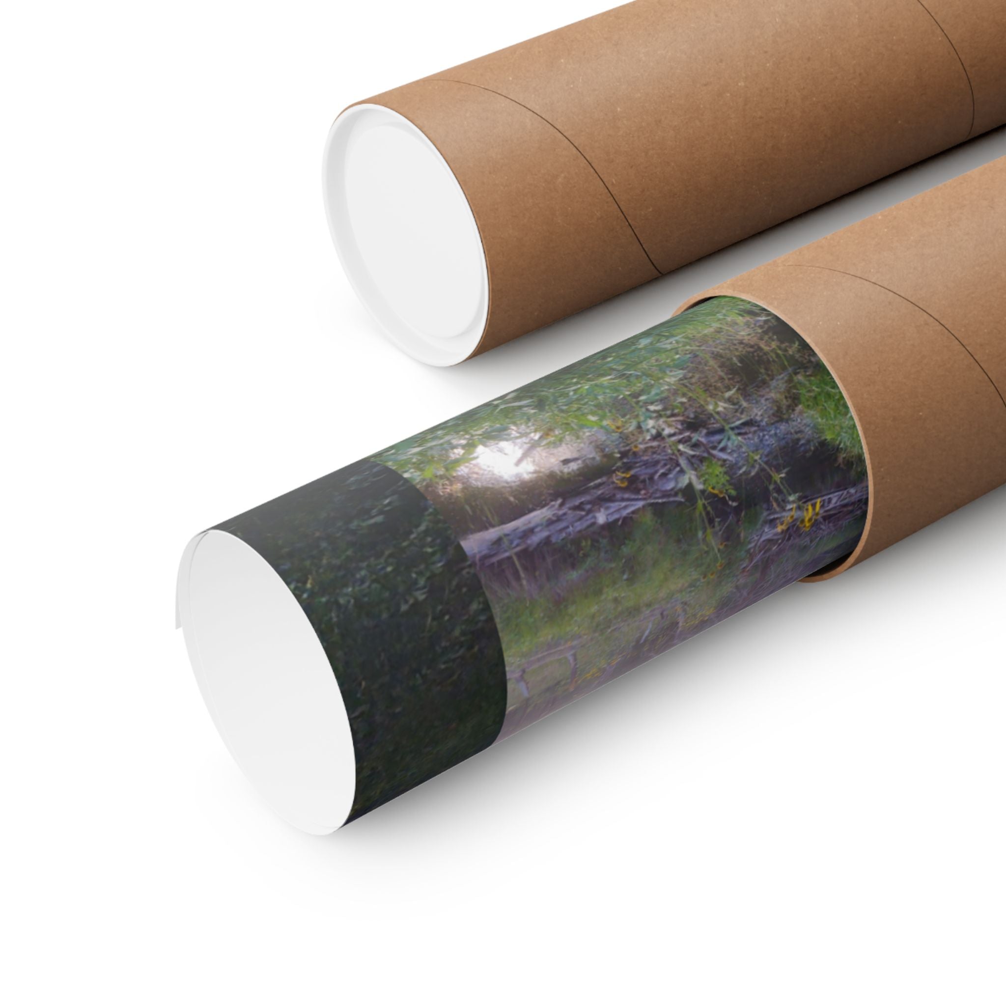 Nature-Inspired Matte Vertical Posters | Wall Art, Home Decor, Landscape Photography, Gift for Nature Lovers, Eco-Friendly Decor