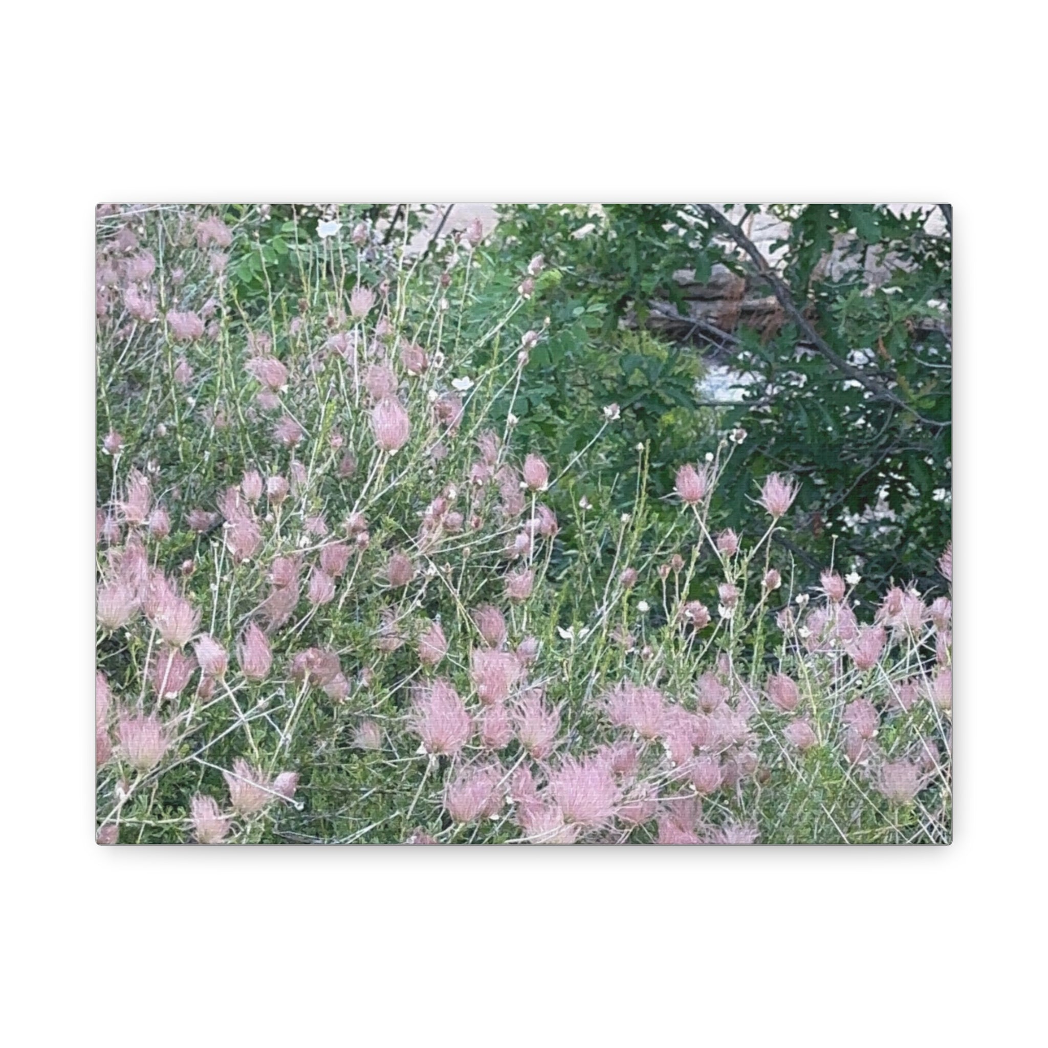 Floral Wall Art Canvas, Home Decor, Nature Lover Gift, Botanical Print, Spring Decor, Mother’s Day