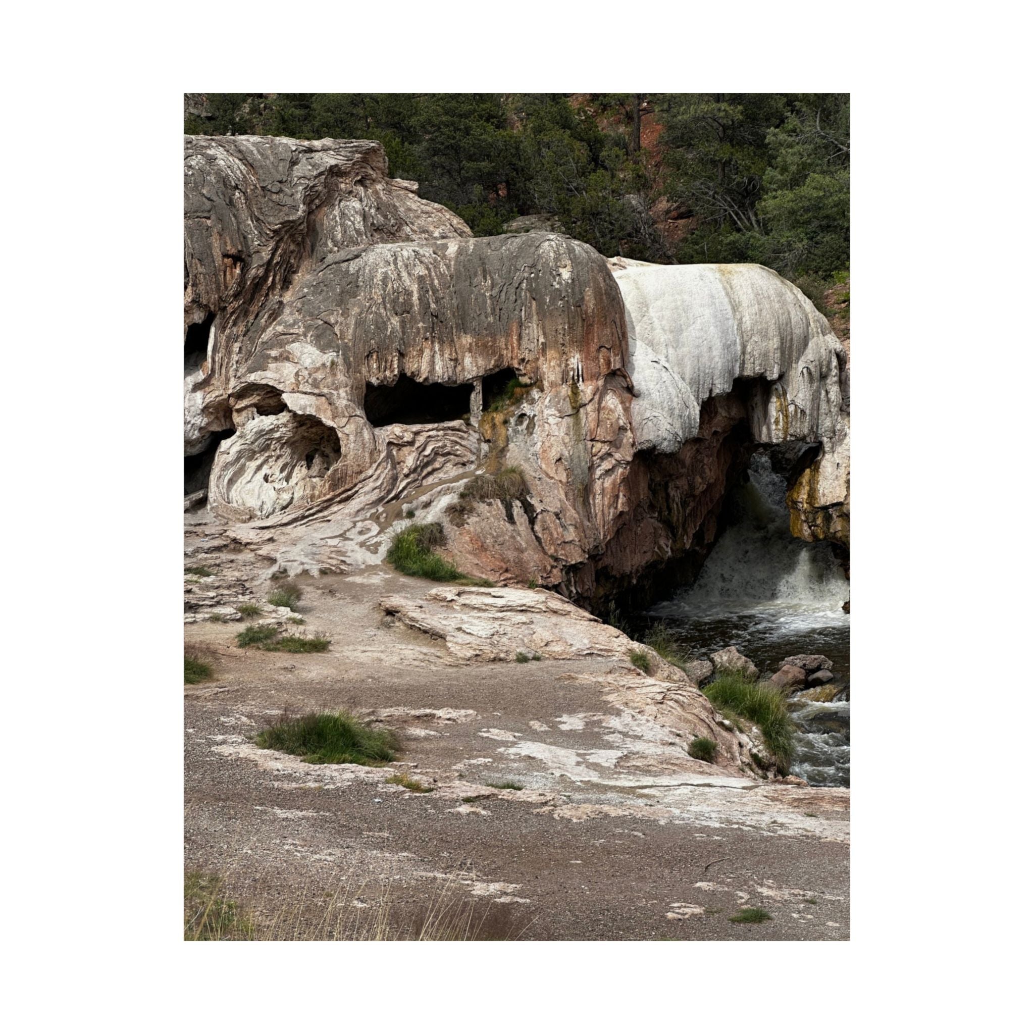 Nature-Inspired Matte Vertical Poster, Landscape Wall Art, Home Decor, Unique Gift, Rustic Vibe, Earthy Aesthetic