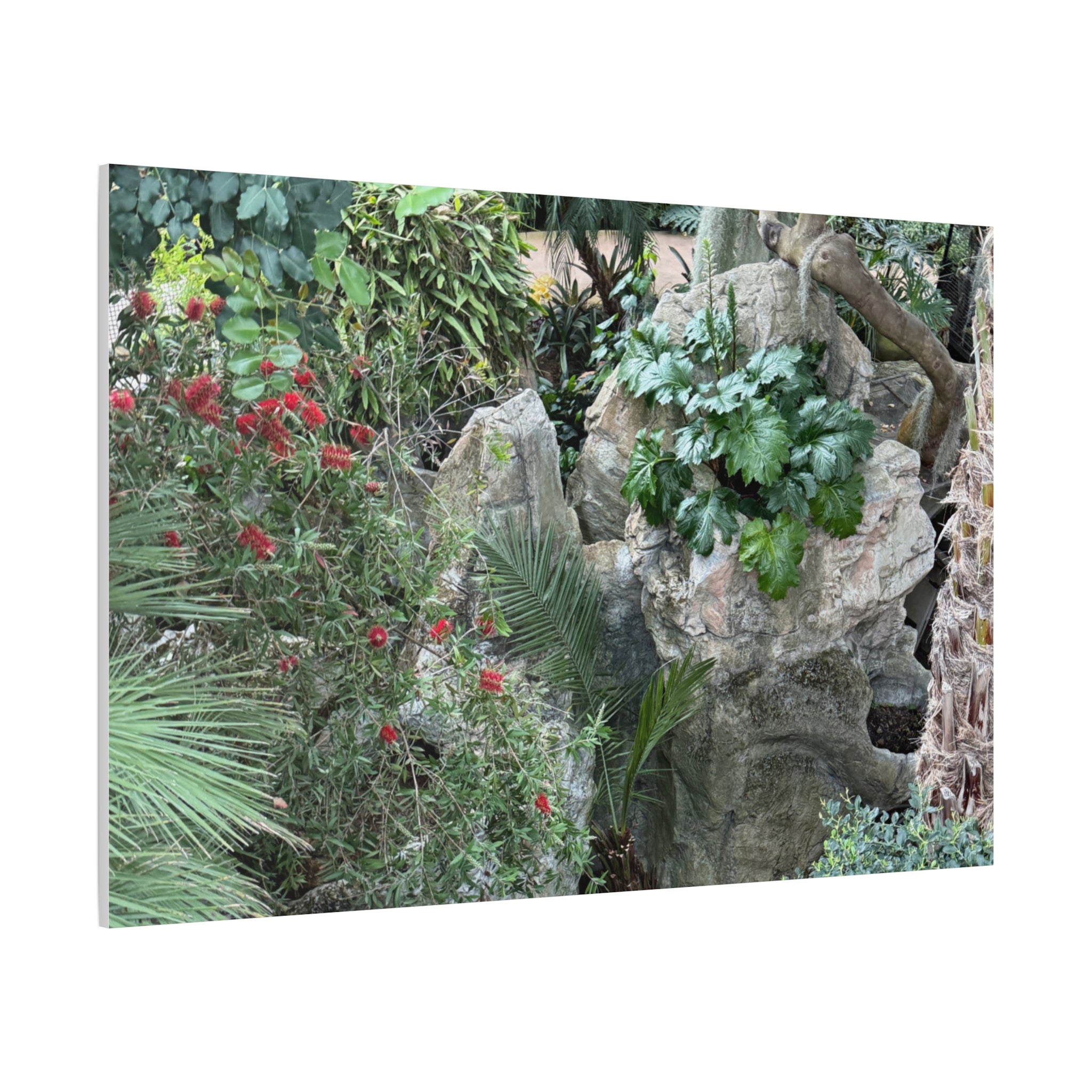 Garden Landscape Canvas Wall Art, Nature Decor, Home Decoration, Gift for Nature Lovers, Eco-Friendly Art, Botanical Wall Decor