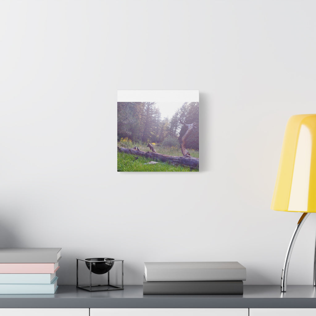 Matte Canvas Wall Art - Serene Nature Scene, Perfect for Home Decor, Gift for Nature Lovers, Office Wall Decoration, Rustic Art Print