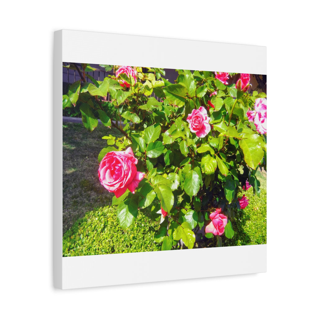 Floral Canvas Wall Art, Pink Rose Decor, Home Gallery Piece, Flower Photography, Garden Wall Decor, Floral Print