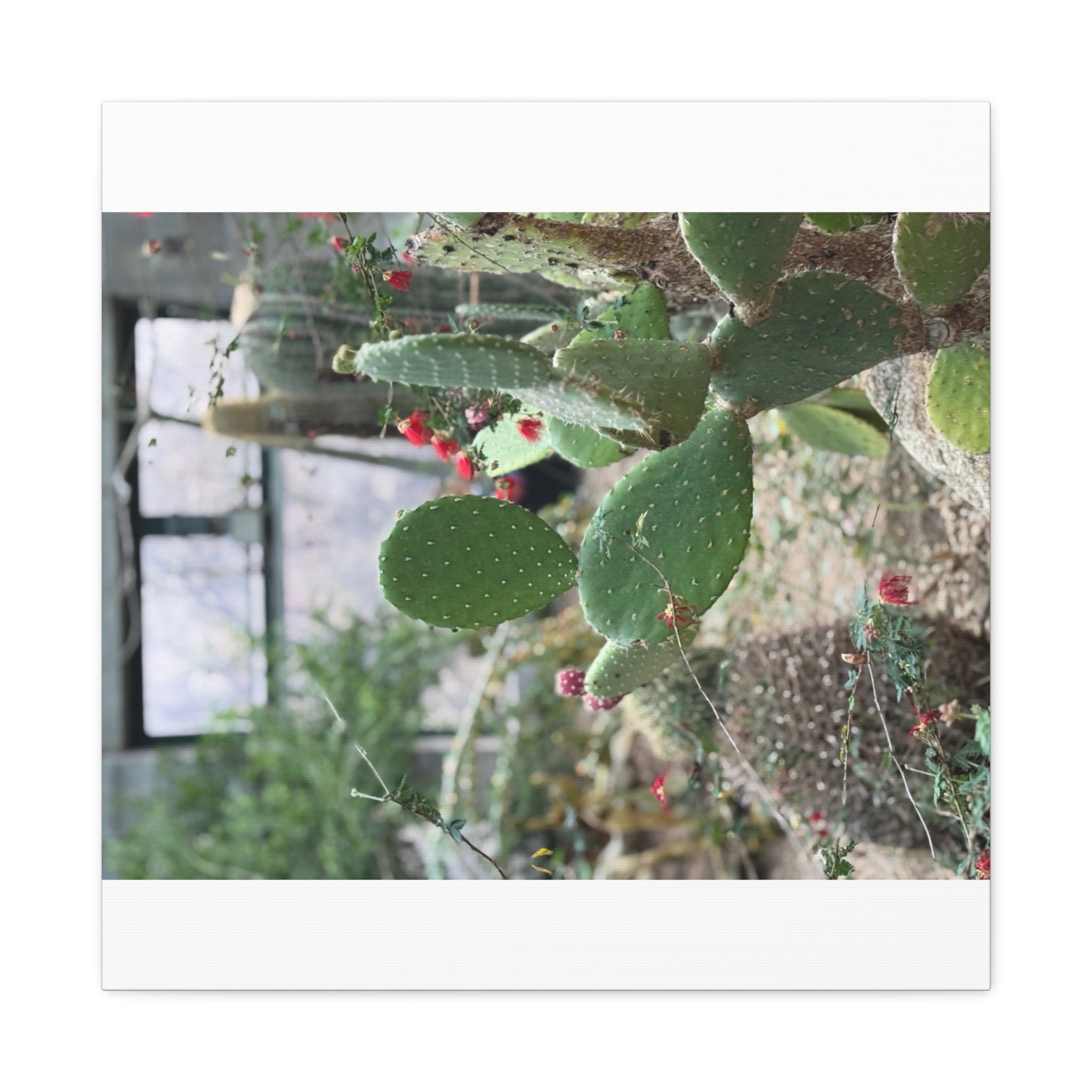 Cactus Wall Art Canvas Print, Nature Décor for Home, Office, Gift for Cactus Lovers, Unique Plant Themed Artwork, Desert Vibe Decor