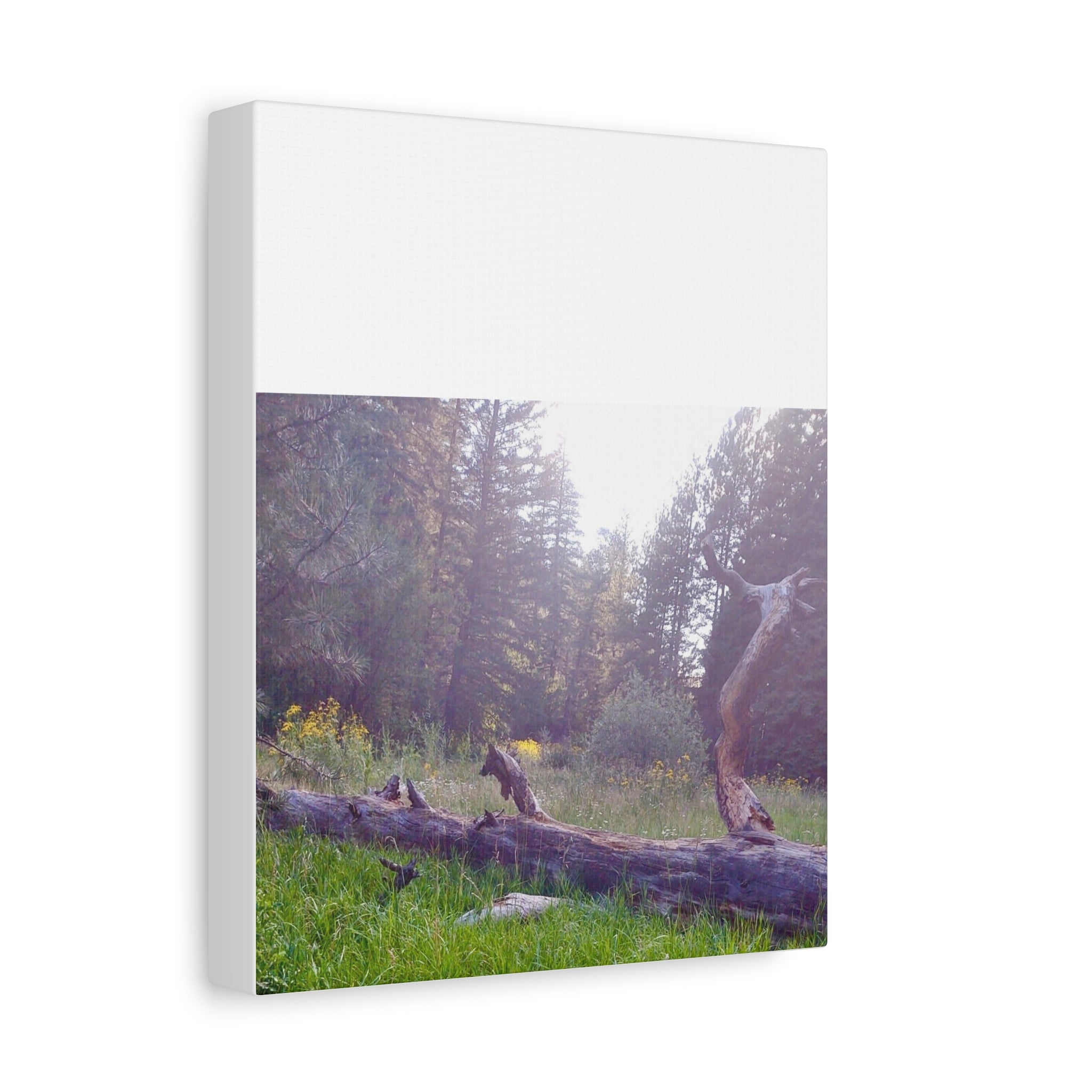 Matte Canvas Wall Art - Serene Nature Scene, Perfect for Home Decor, Gift for Nature Lovers, Office Wall Decoration, Rustic Art Print