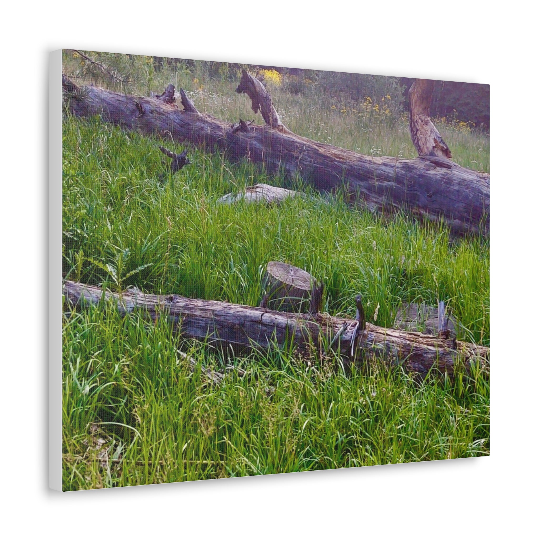 Classic Canvas Wall Art - Nature Decor, Outdoor Wall Hanging, Home Aesthetic, Gift for Nature Lovers, Rustic Cabin Decor