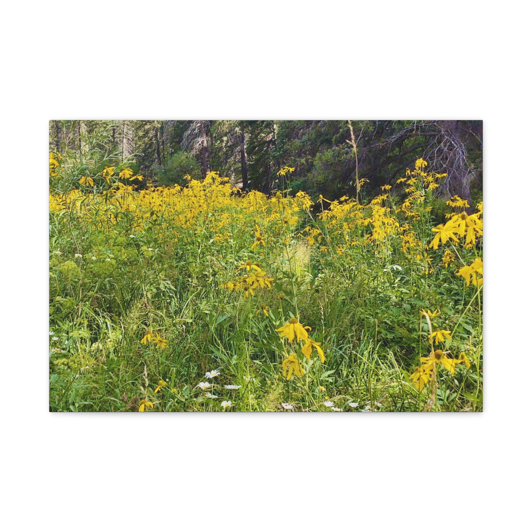 Nature-Inspired Wall Art Print, Classic Canvas Landscape, Floral Forest Decor, Home Wall Decoration, Gift for Nature Lovers