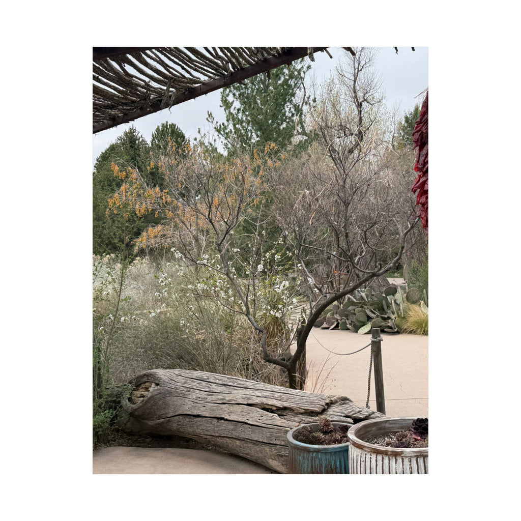 Matte Vertical Posters | Nature-Inspired Wall Art, Rustic Decor, Home Aesthetic, Gift for Nature Lovers, Bohemian Poster Prints