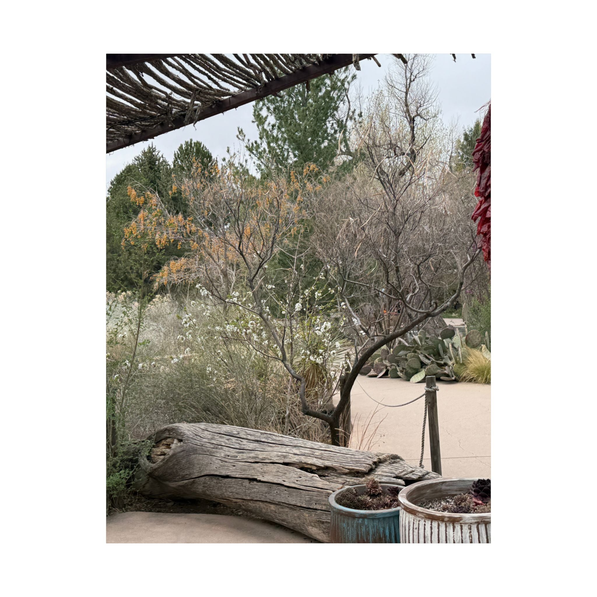 Matte Vertical Posters | Nature-Inspired Wall Art, Rustic Decor, Home Aesthetic, Gift for Nature Lovers, Bohemian Poster Prints