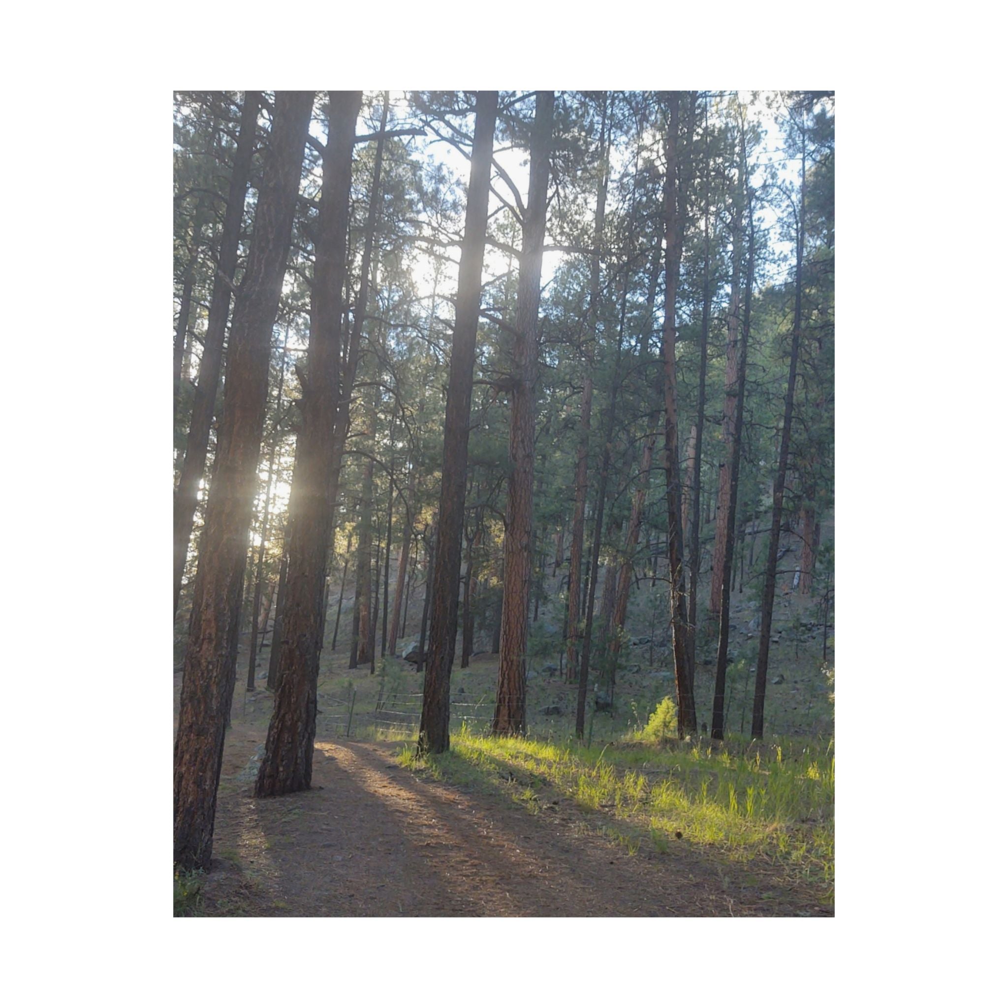 Serene Nature Matte Vertical Posters, Forest Wall Art, Home Decor, Gift Idea, Nature Lover's Decor, Inspirational Art Print