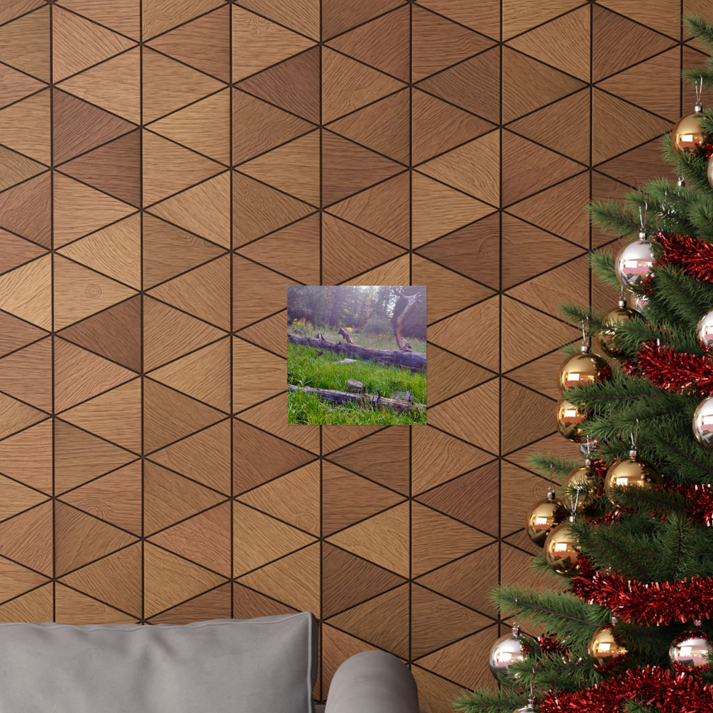 Nature-Inspired Matte Vertical Posters, Wall Art Decor, Forest Photo Prints, Home Aesthetic, Gift for Nature Lovers