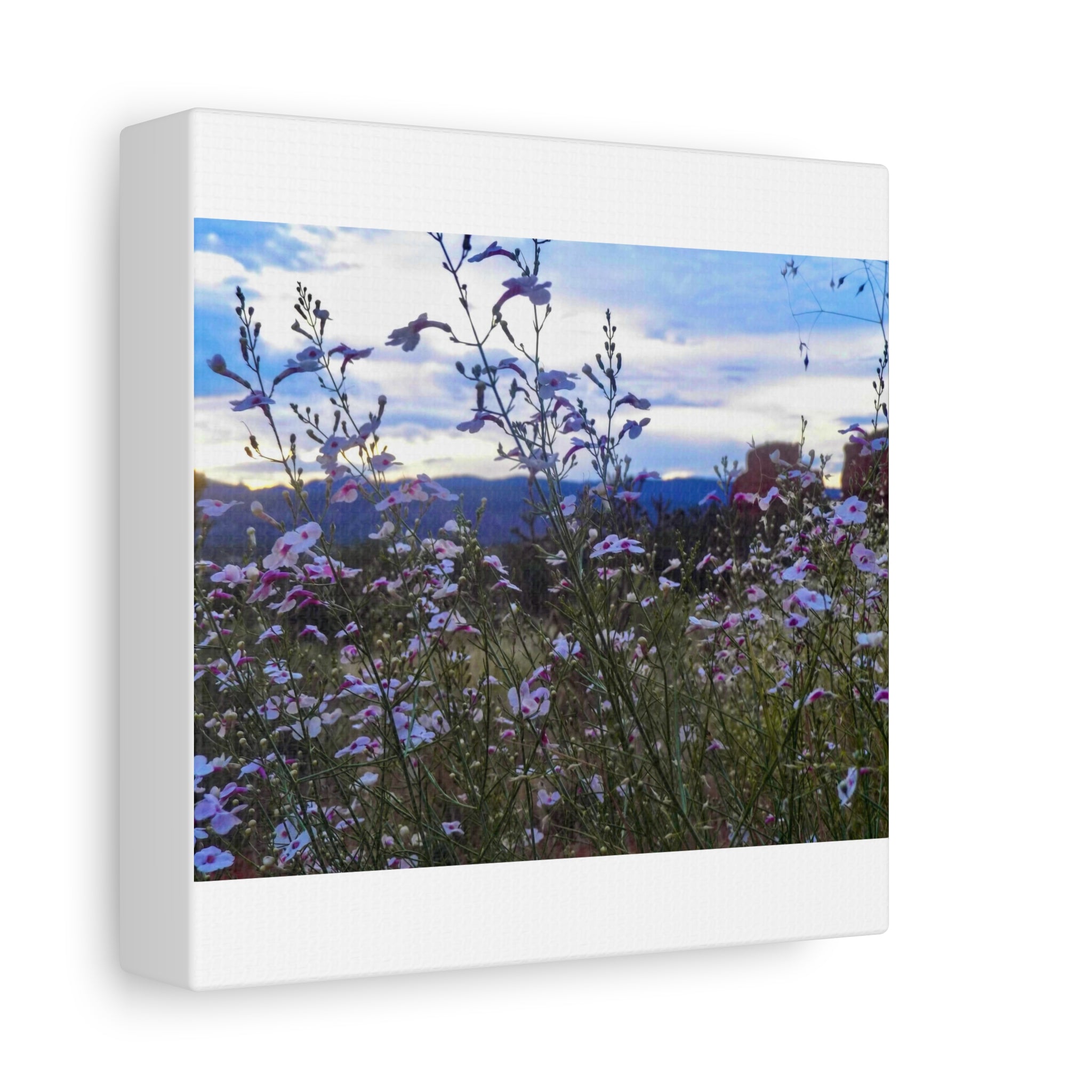 Floral Wall Art Canvas, Nature-Inspired Home Decor, Flower Print, Rustic Living Room, Gift for Gardeners, Boho Wall Art