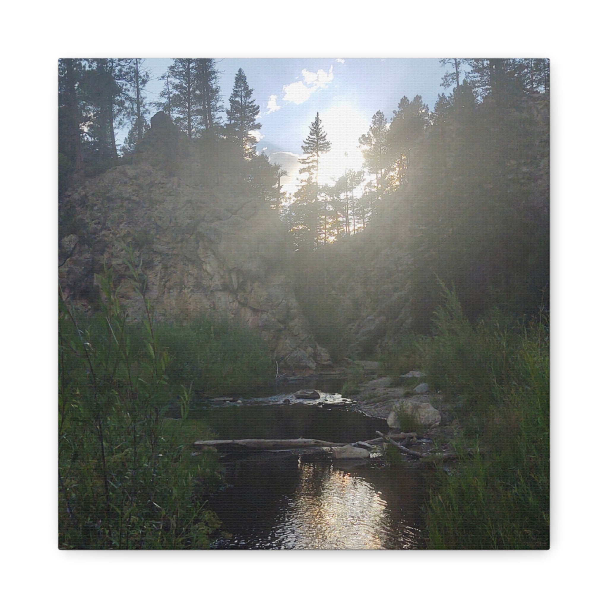 Nature Wall Art Canvas Print for Home Decor, Serene Landscape Artwork, Office Decor, Gift for Nature Lovers, Outdoor Photography