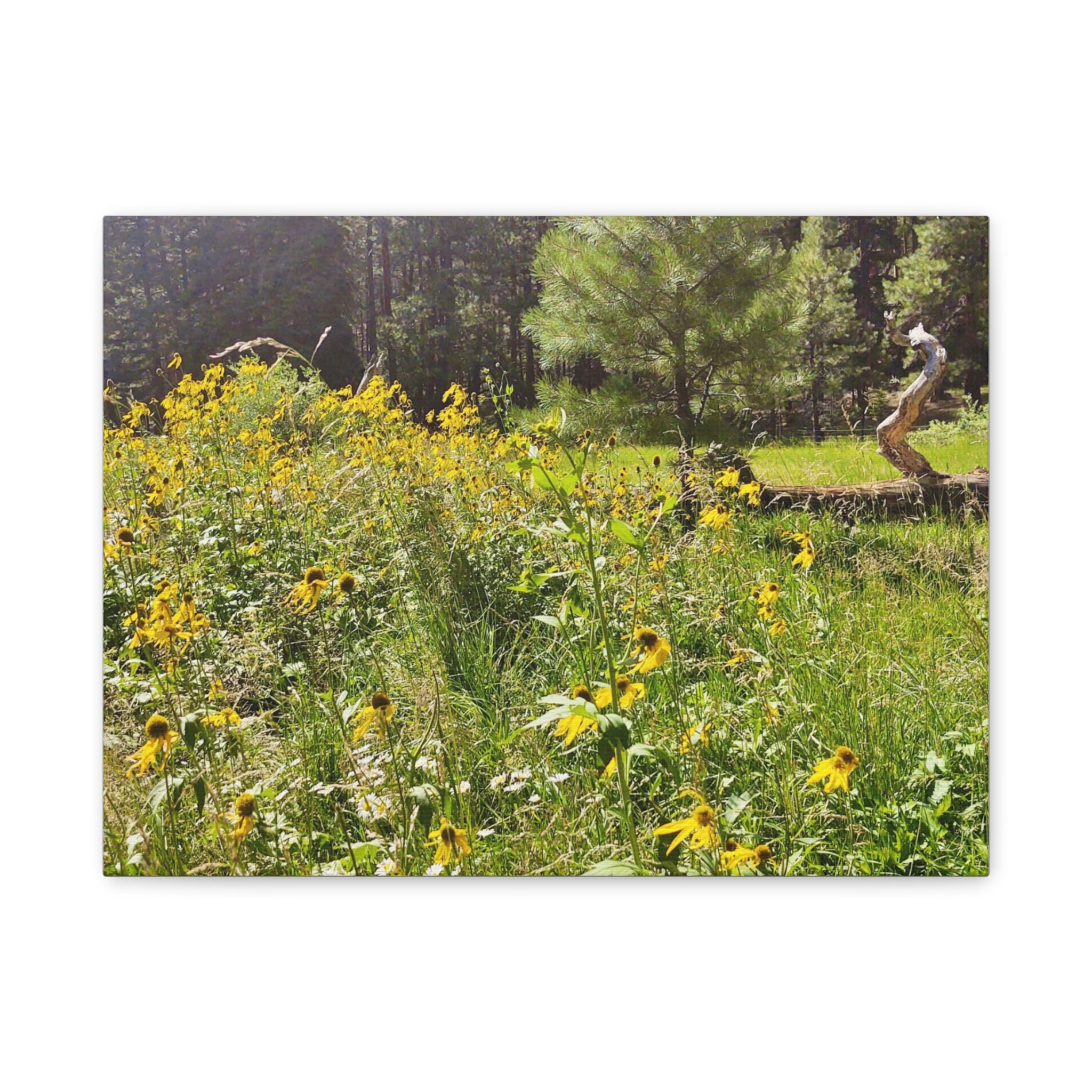 Canvas Wall Art, Nature Photography Decor, Floral Home Decor, Greenery Art Print, Gift for Nature Lovers