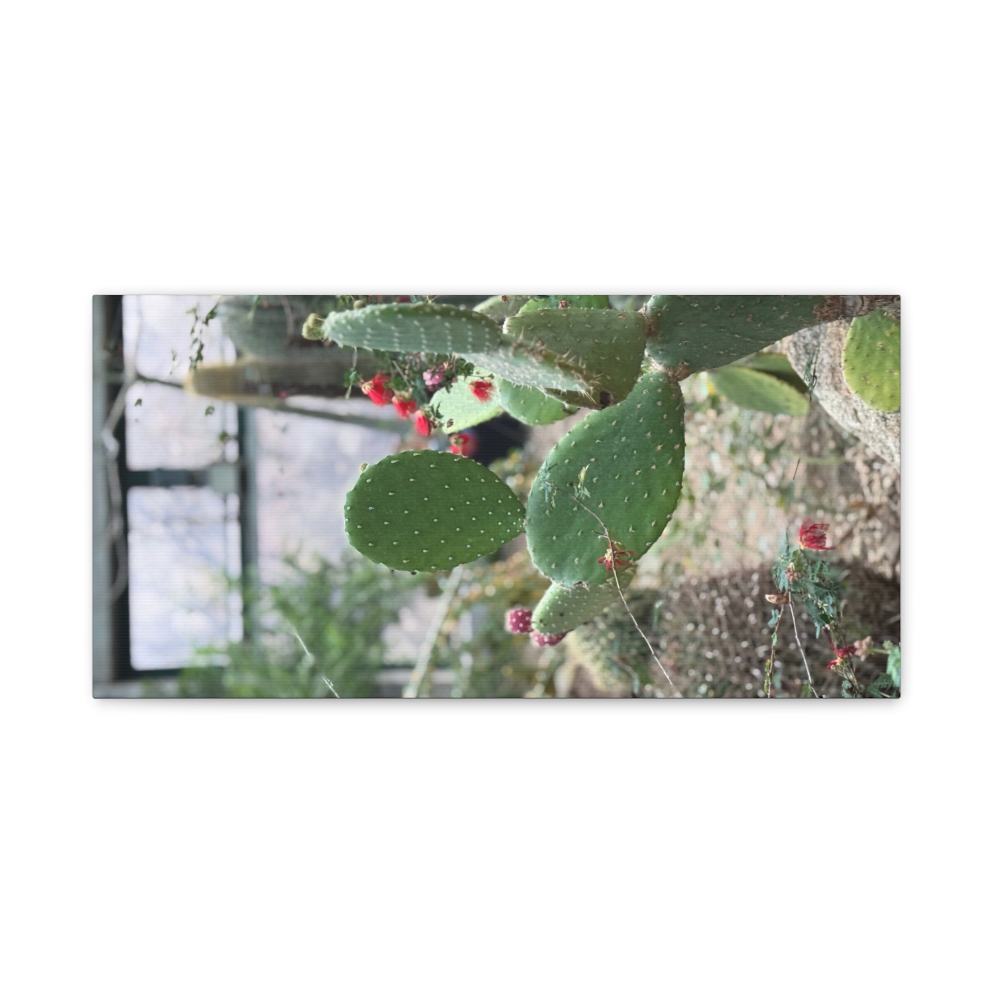 Cactus Wall Art Canvas Print, Nature Décor for Home, Office, Gift for Cactus Lovers, Unique Plant Themed Artwork, Desert Vibe Decor