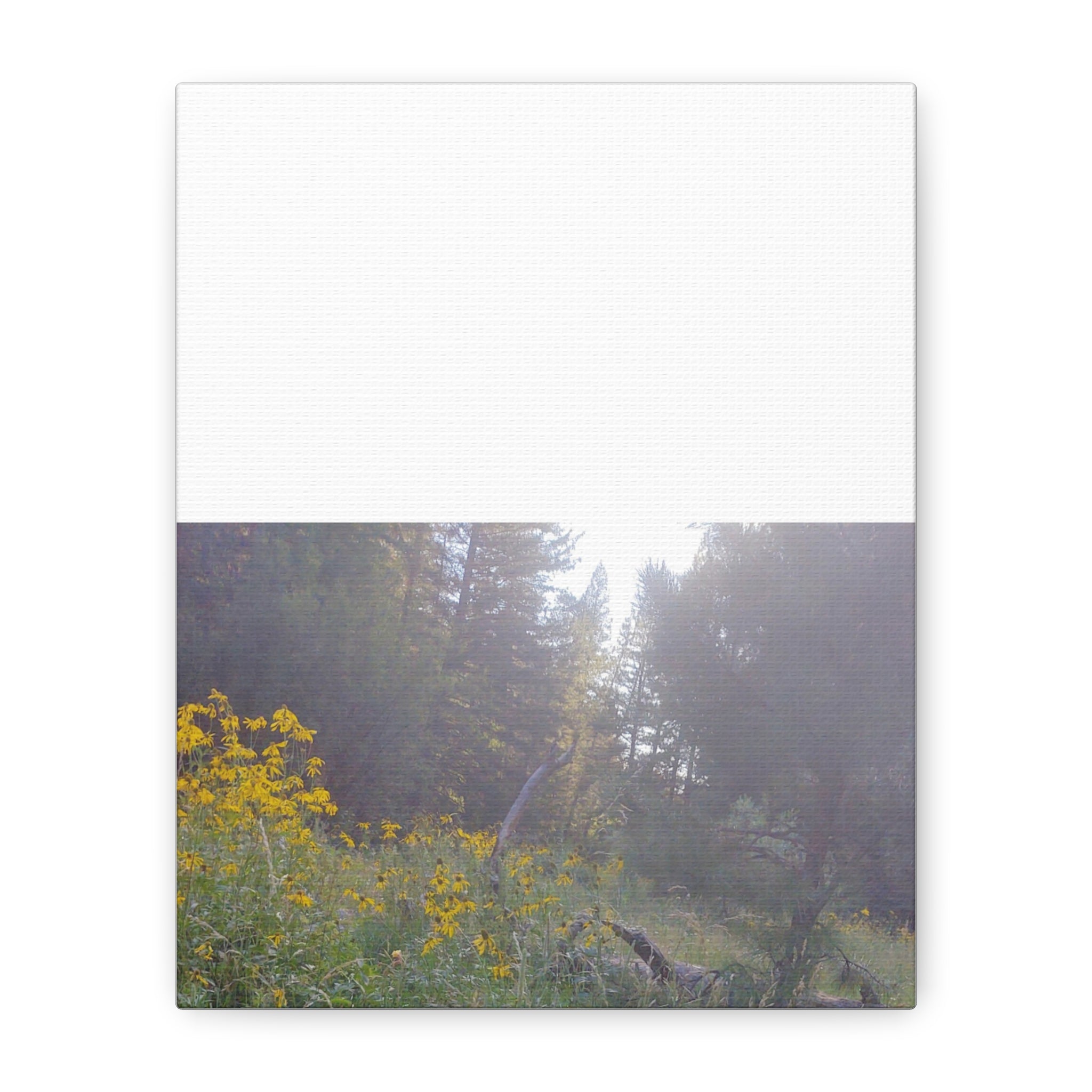 Matte Canvas, Stretched, 1.25"