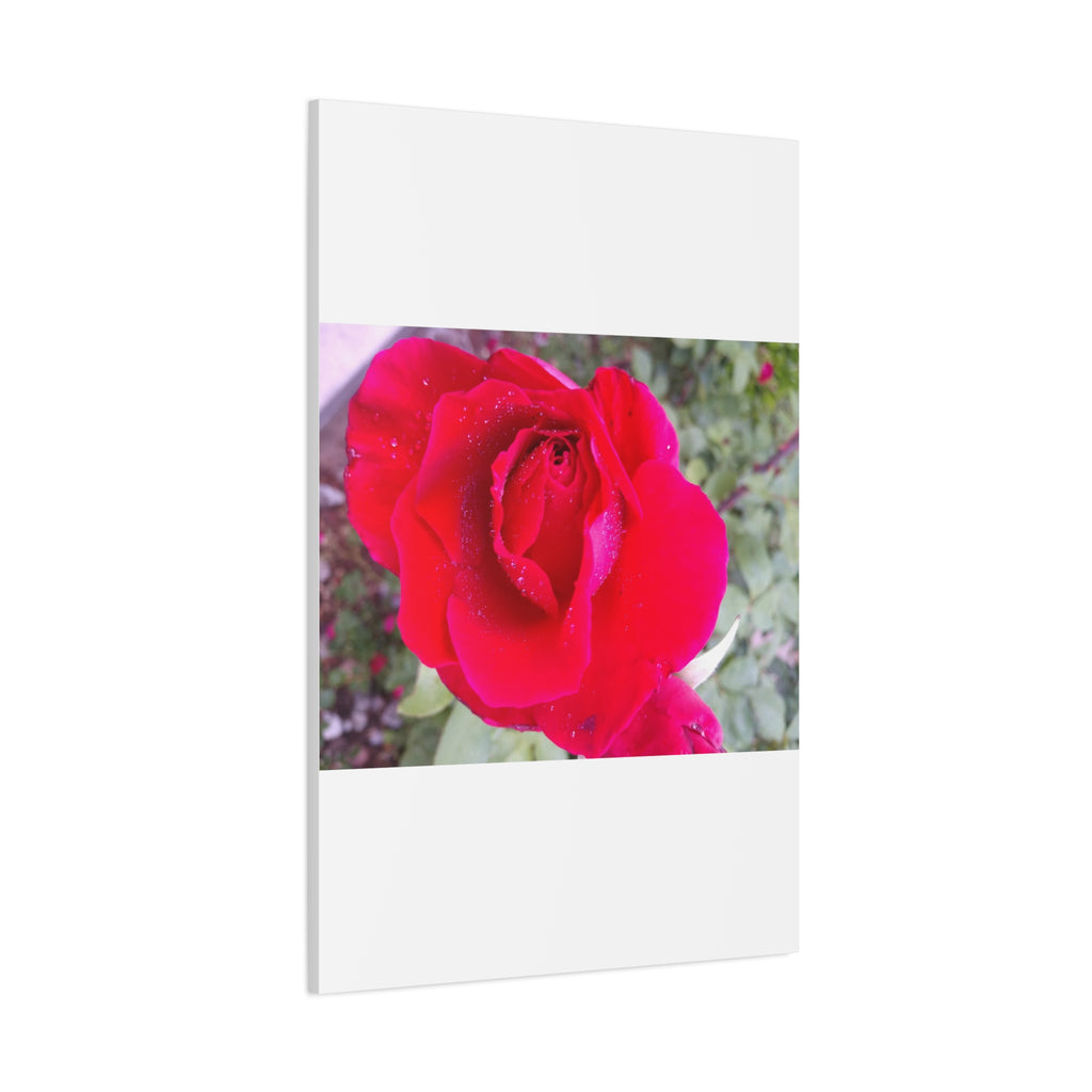 Vibrant Floral Canvas Art, Elegant Wall Decor, Perfect for Home, Gifts, Mother's Day, and Weddings