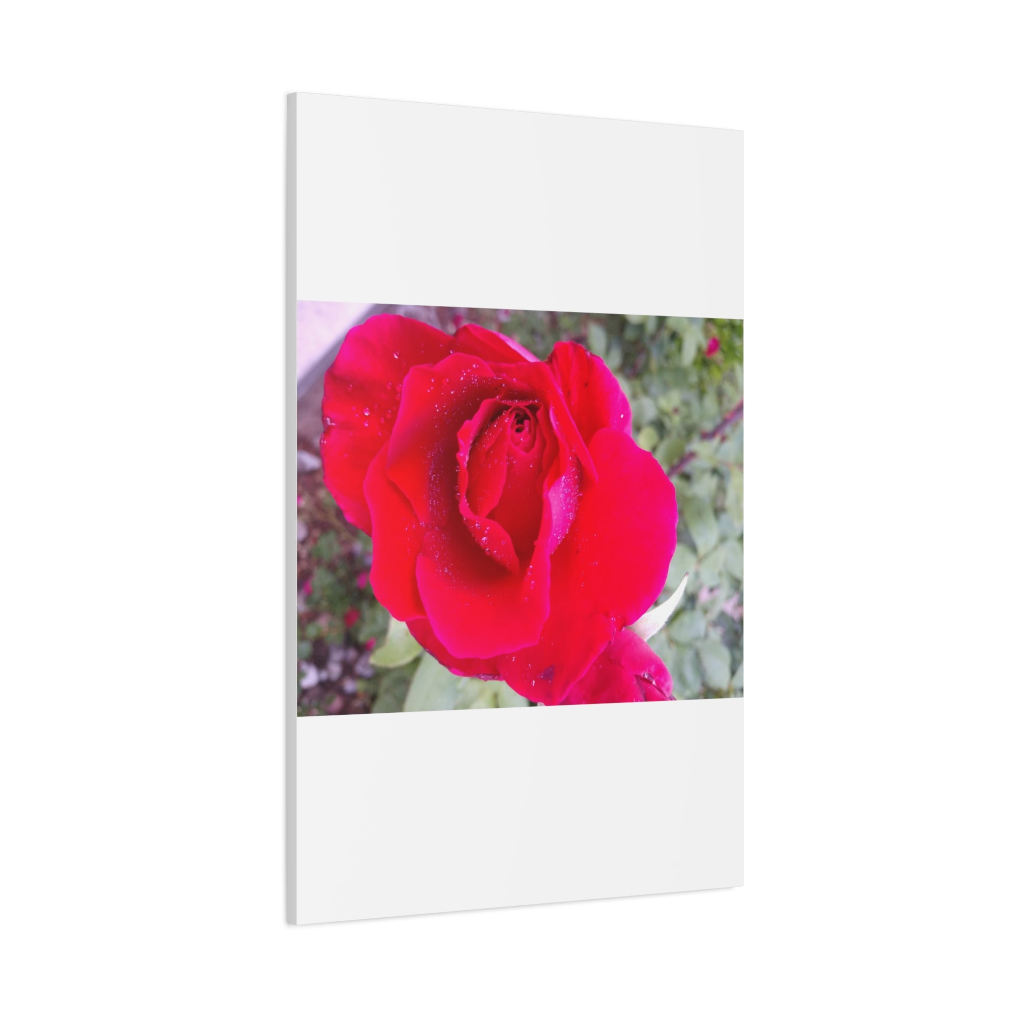 Vibrant Floral Canvas Art, Elegant Wall Decor, Perfect for Home, Gifts, Mother's Day, and Weddings