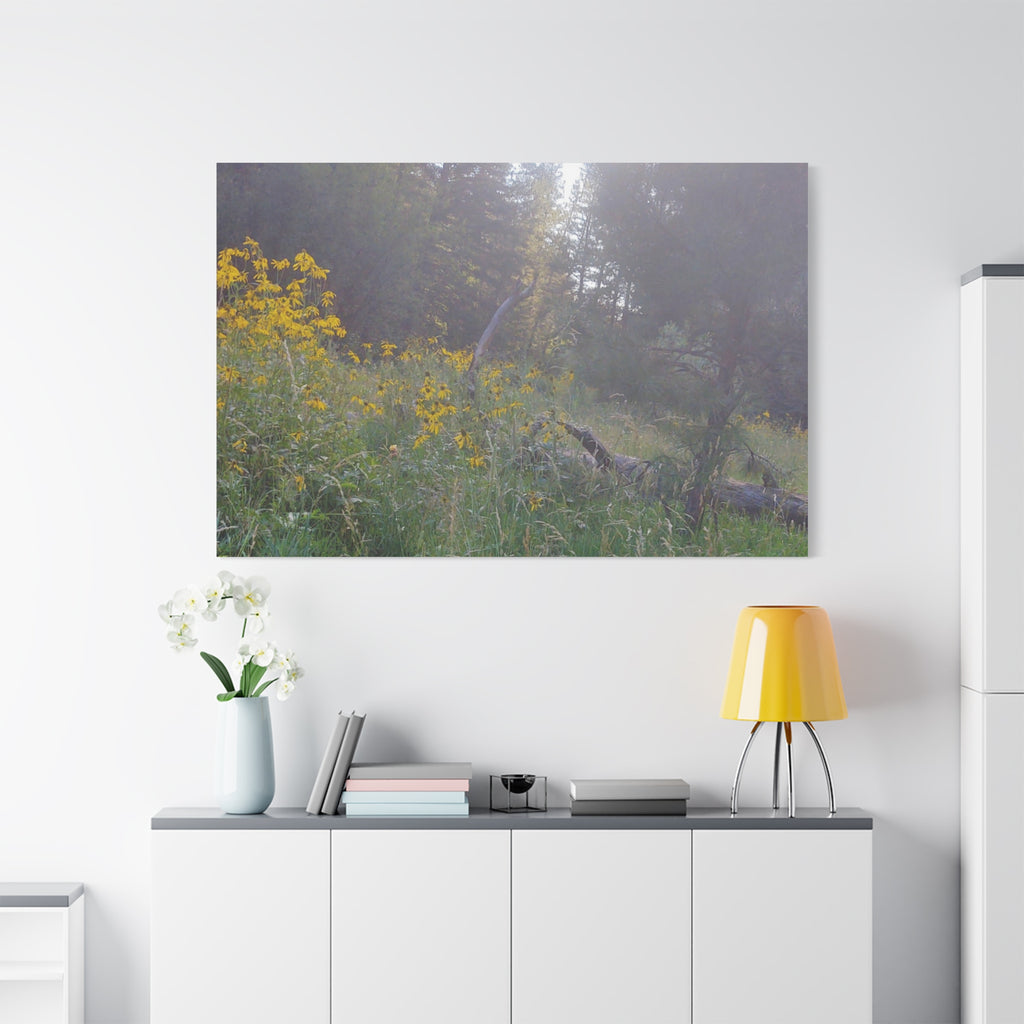 Matte Canvas, Stretched, 1.25"