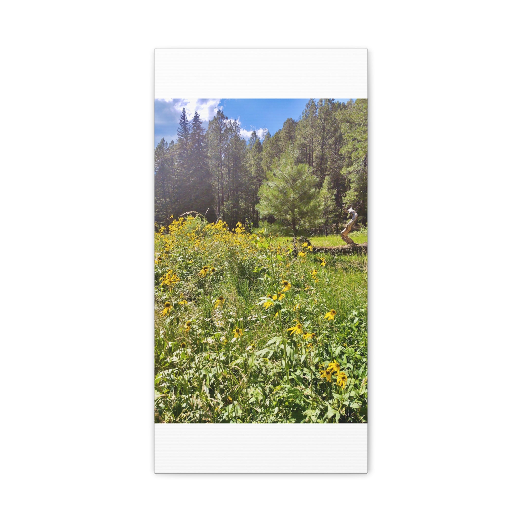 Canvas Wall Art, Nature Photography Decor, Floral Home Decor, Greenery Art Print, Gift for Nature Lovers