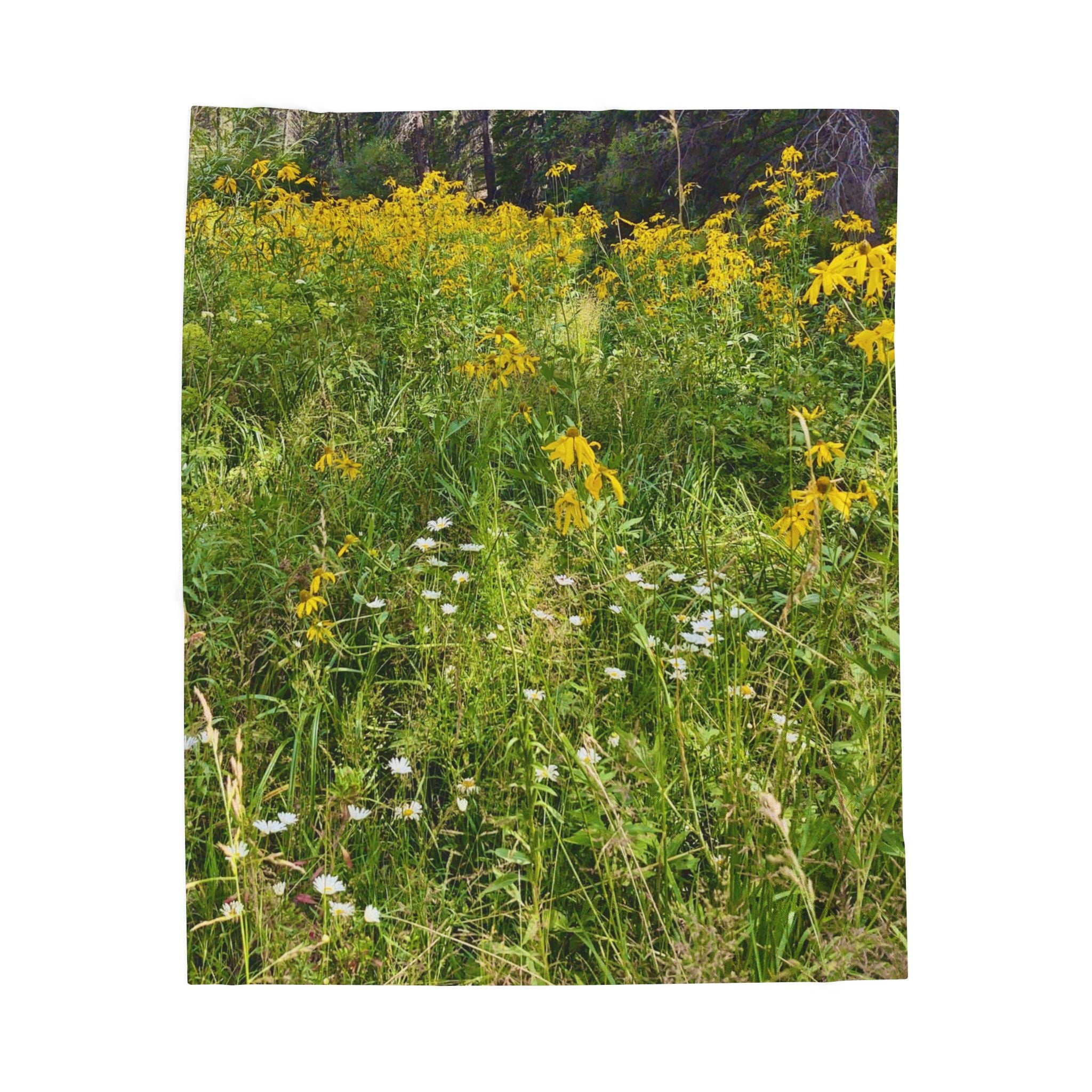 Cozy Velveteen Plush Blanket, Soft Throw for Comfort, Relaxation, Home Decor, Gift for All Occasions