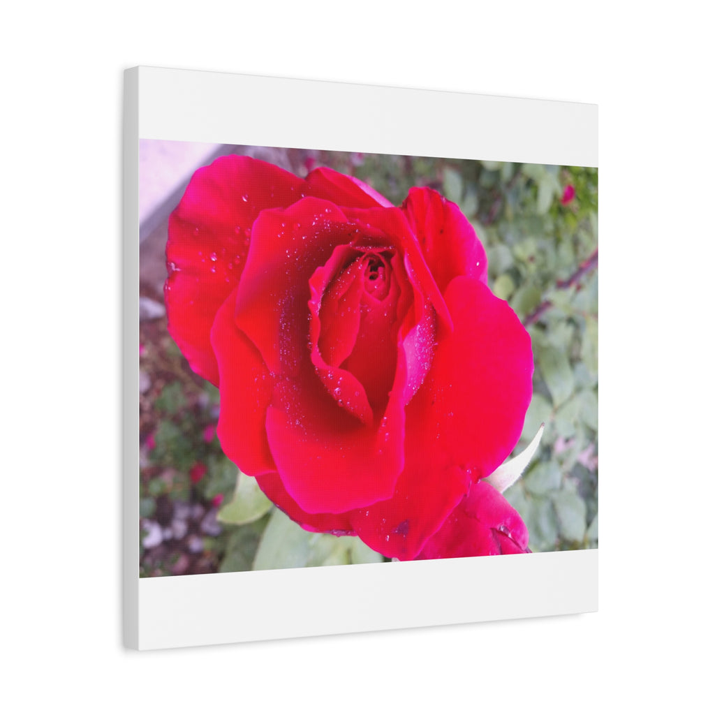 Vibrant Floral Canvas Art, Elegant Wall Decor, Perfect for Home, Gifts, Mother's Day, and Weddings