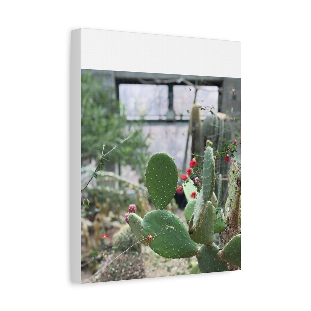 Cactus Matte Canvas Wall Art, Nature Decor, Southwestern Room Design, Green Plant Prints, Home and Office Wall Decor