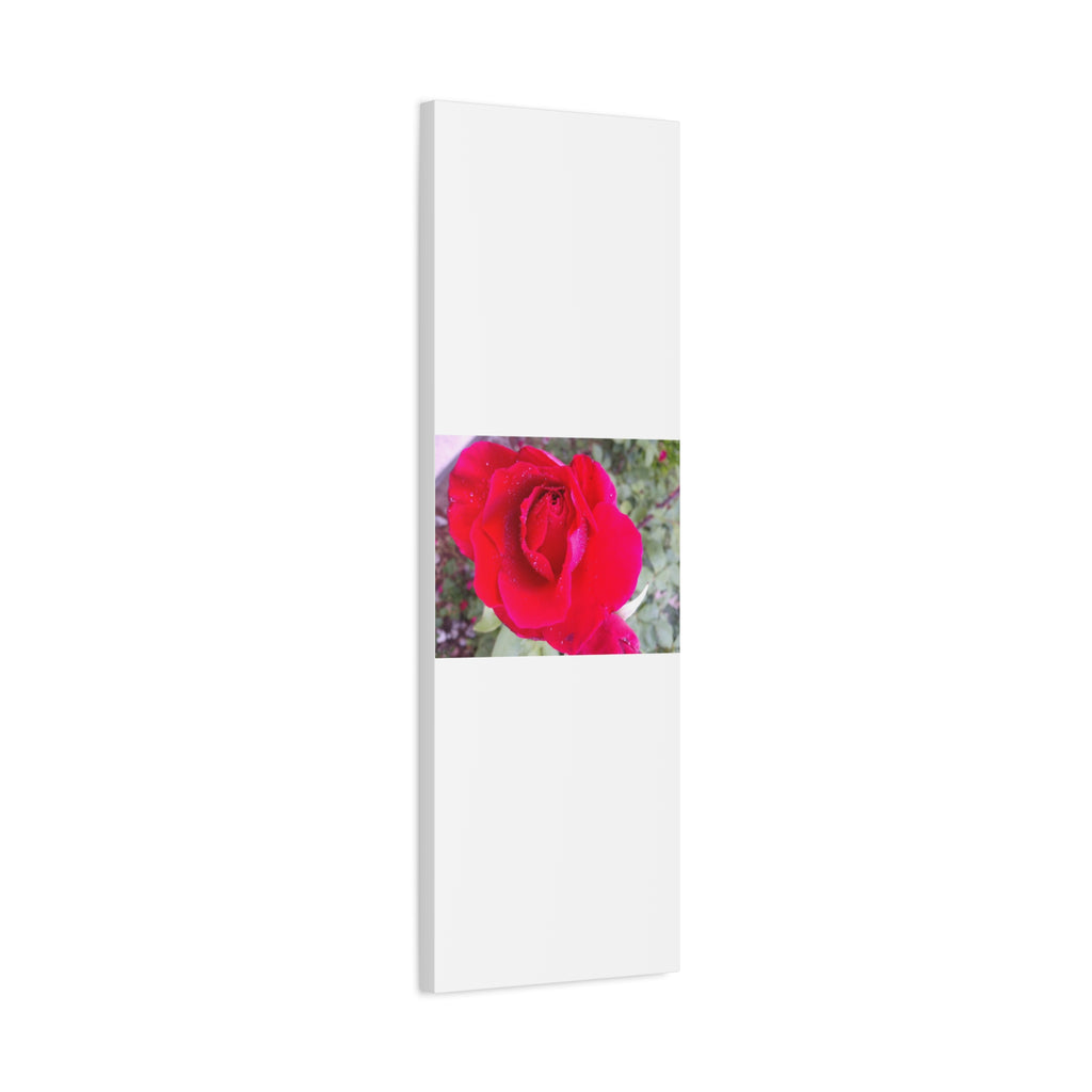Vibrant Floral Canvas Art, Elegant Wall Decor, Perfect for Home, Gifts, Mother's Day, and Weddings
