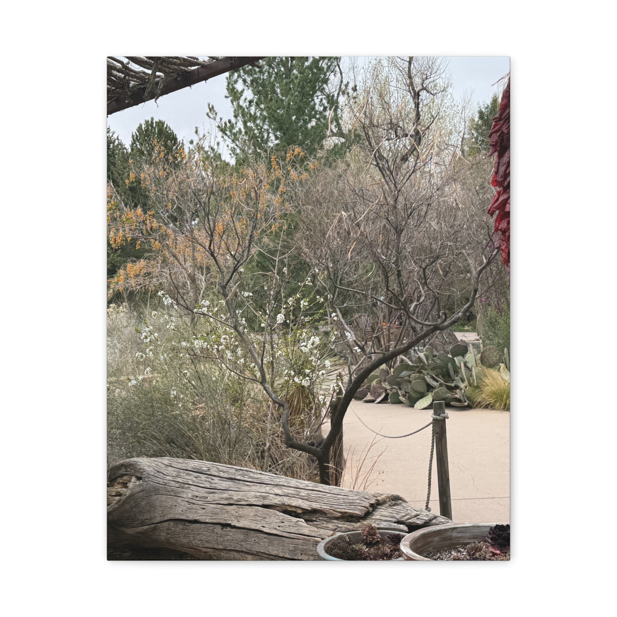 Classic Canvas Art Print, Bohemian Decor, Nature Wall Art, Home Gallery, Rustic Wall Decoration