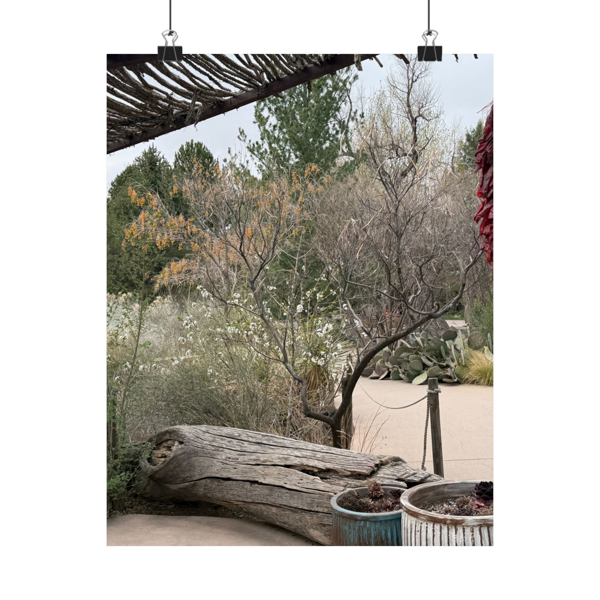 Matte Vertical Posters | Nature-Inspired Wall Art, Rustic Decor, Home Aesthetic, Gift for Nature Lovers, Bohemian Poster Prints