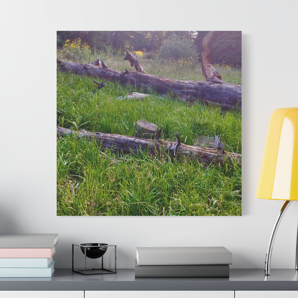 Classic Canvas Wall Art - Nature Decor, Outdoor Wall Hanging, Home Aesthetic, Gift for Nature Lovers, Rustic Cabin Decor