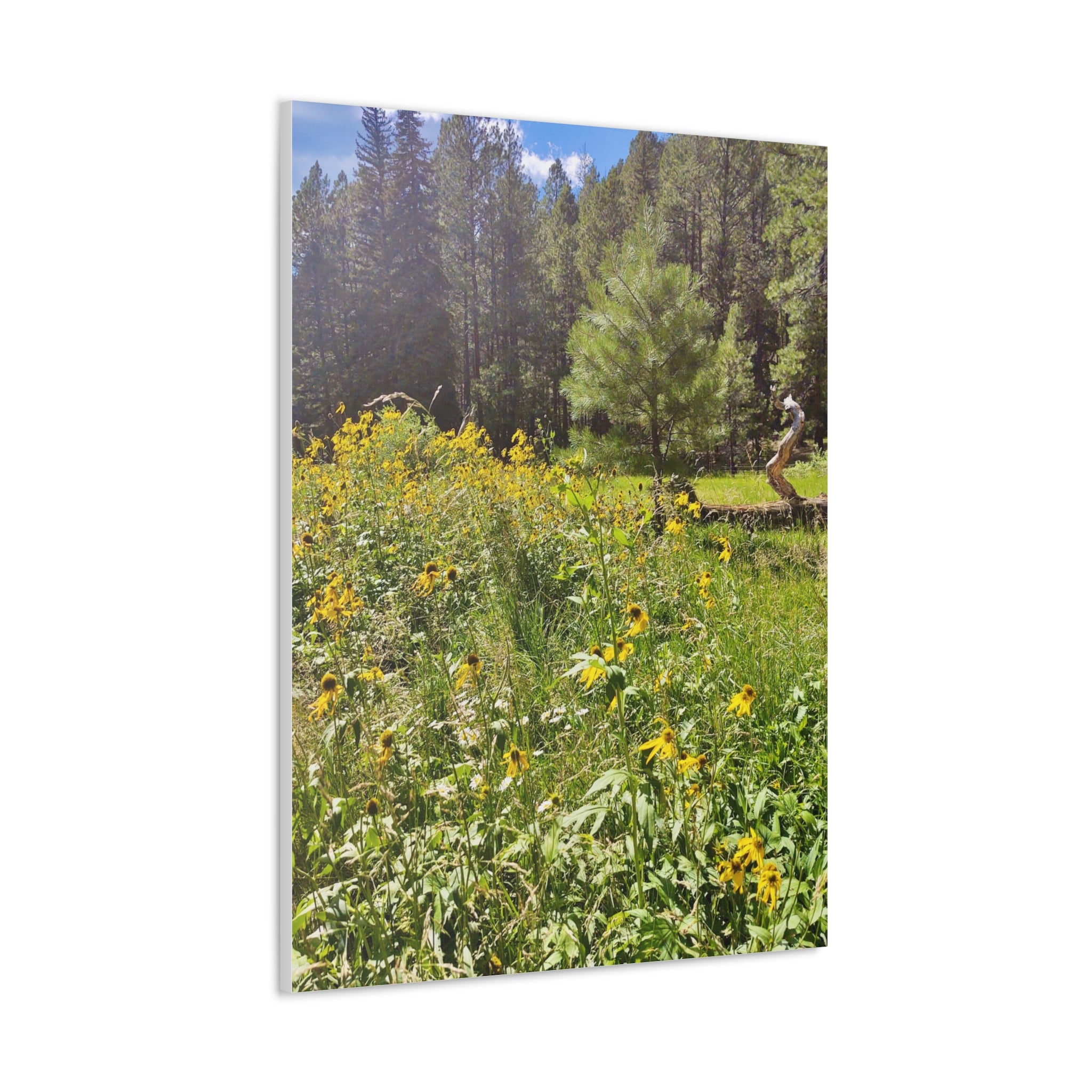 Canvas Wall Art, Nature Photography Decor, Floral Home Decor, Greenery Art Print, Gift for Nature Lovers