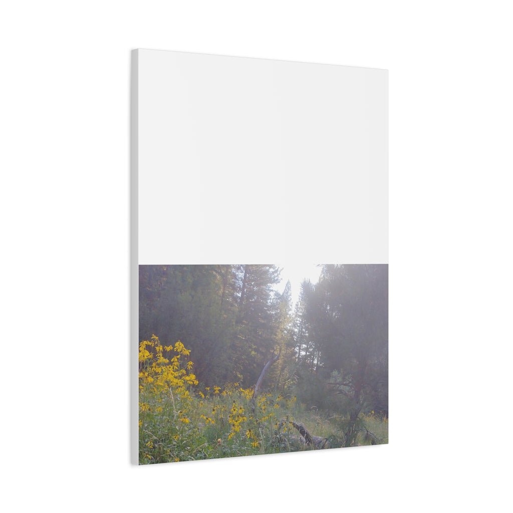 Matte Canvas, Stretched, 1.25"