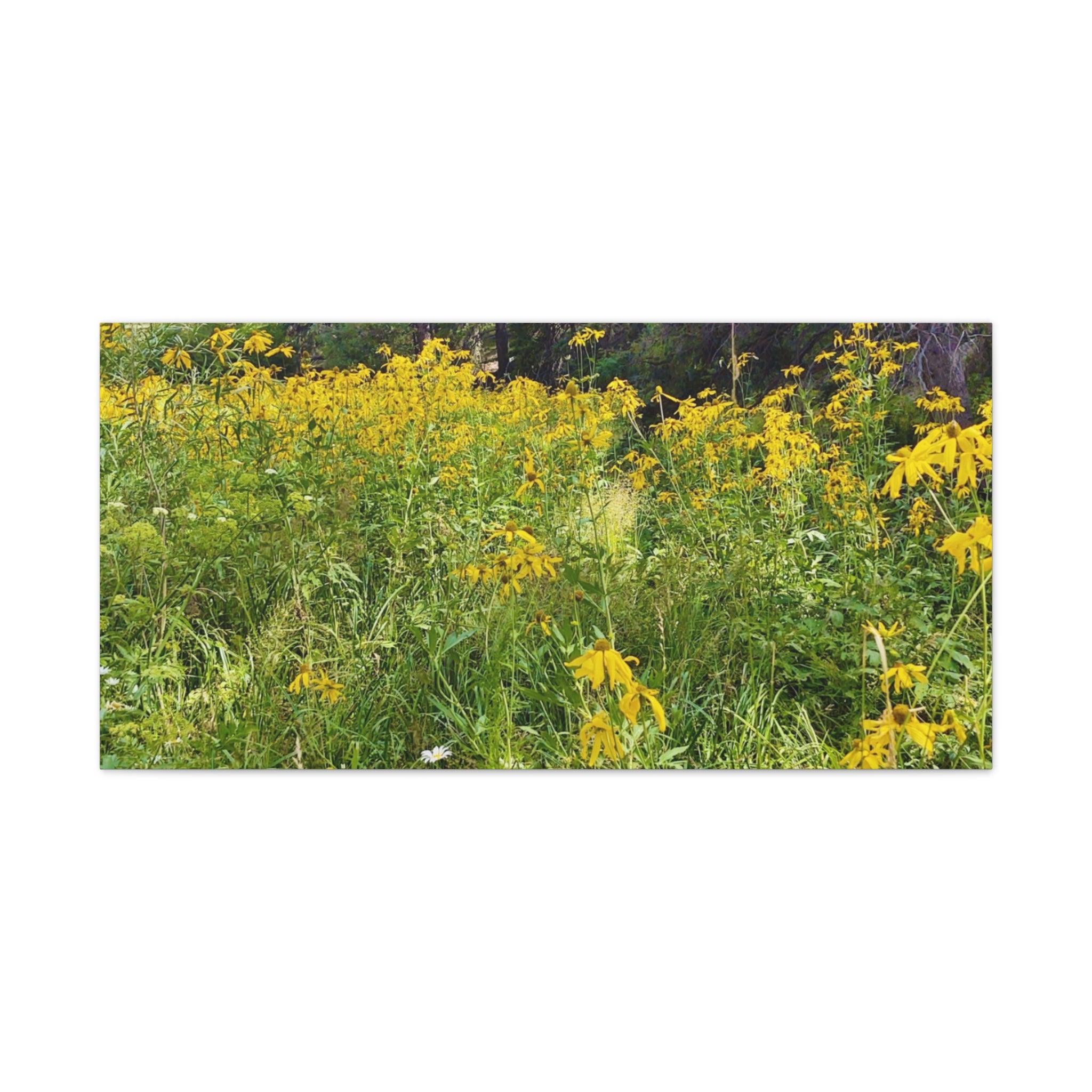 Nature-Inspired Wall Art Print, Classic Canvas Landscape, Floral Forest Decor, Home Wall Decoration, Gift for Nature Lovers