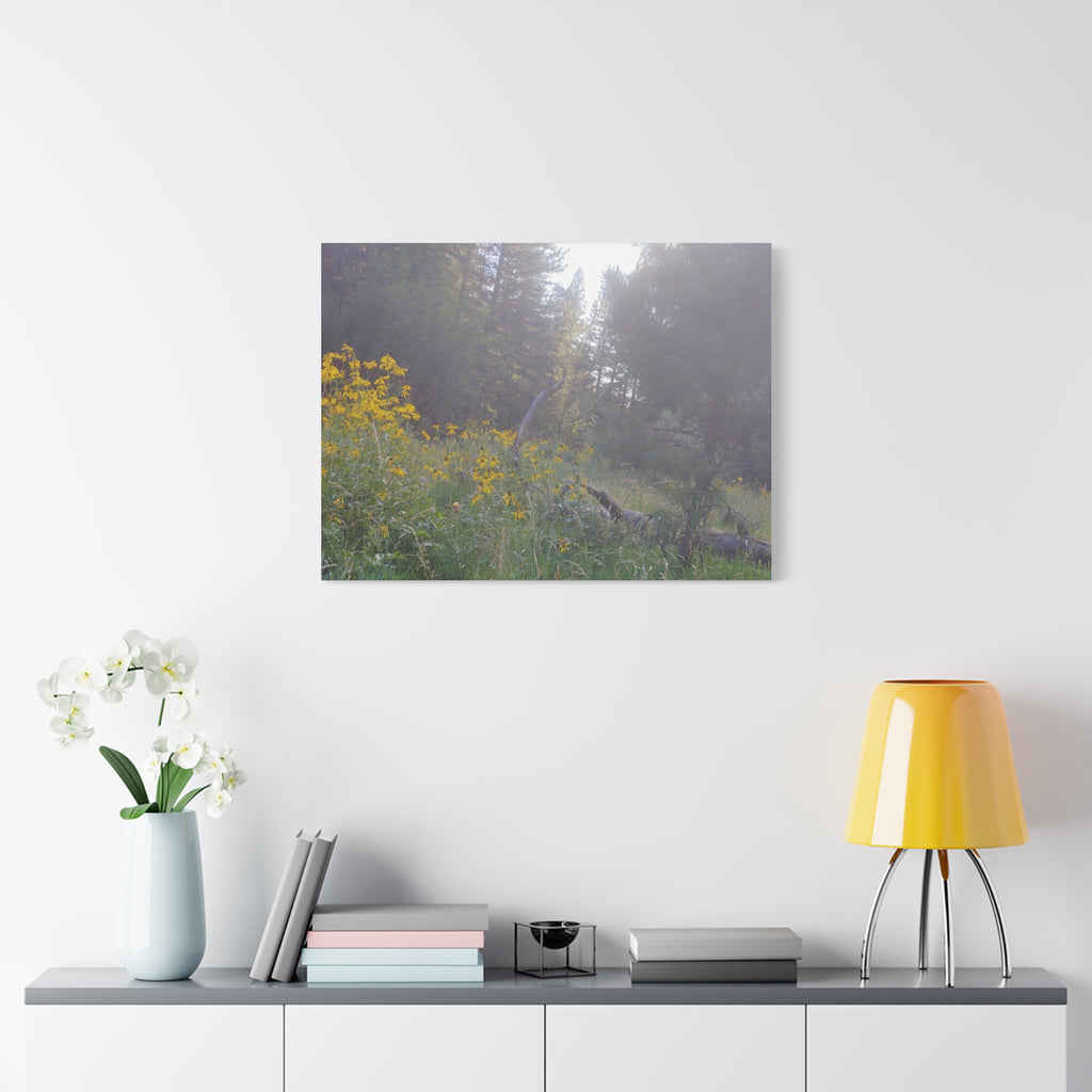 Matte Canvas, Stretched, 1.25"