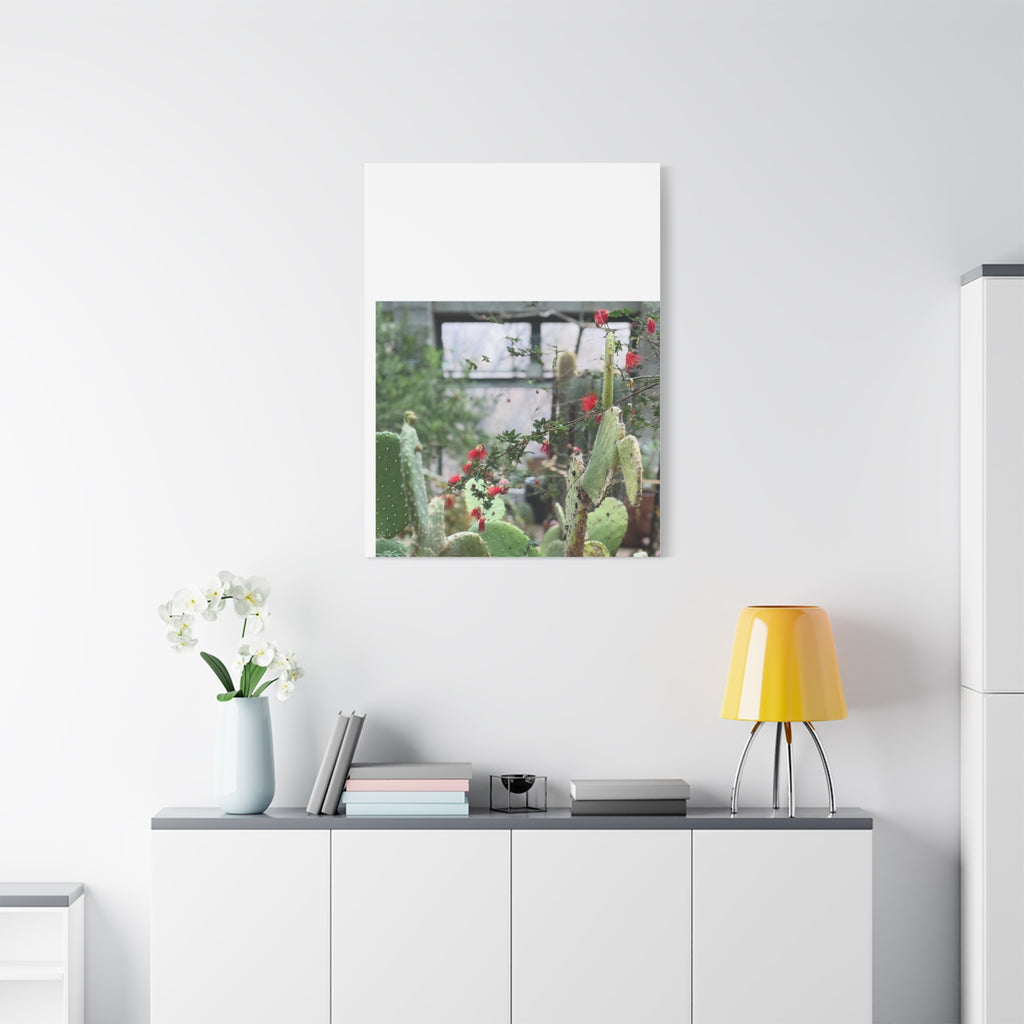 Cactus Wall Art Print, Nature Home Decor, Bohemian Style Artwork, Botanical Gift, Succulent Canvas