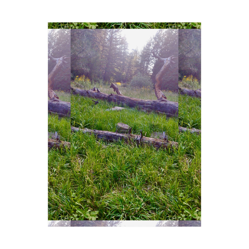 Nature-Inspired Matte Vertical Posters, Wall Art, Home Decor, Gift for Nature Lovers, Room Decoration, Eco-Friendly Art