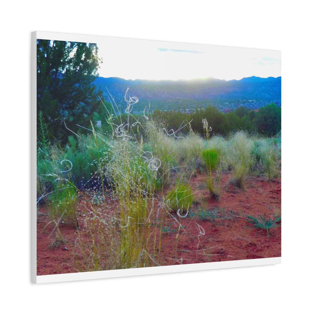 Stretched Canvas Art Print, Nature Wall Decor, Boho Home Decor, Rustic Landscape Art, Gift for Nature Lovers