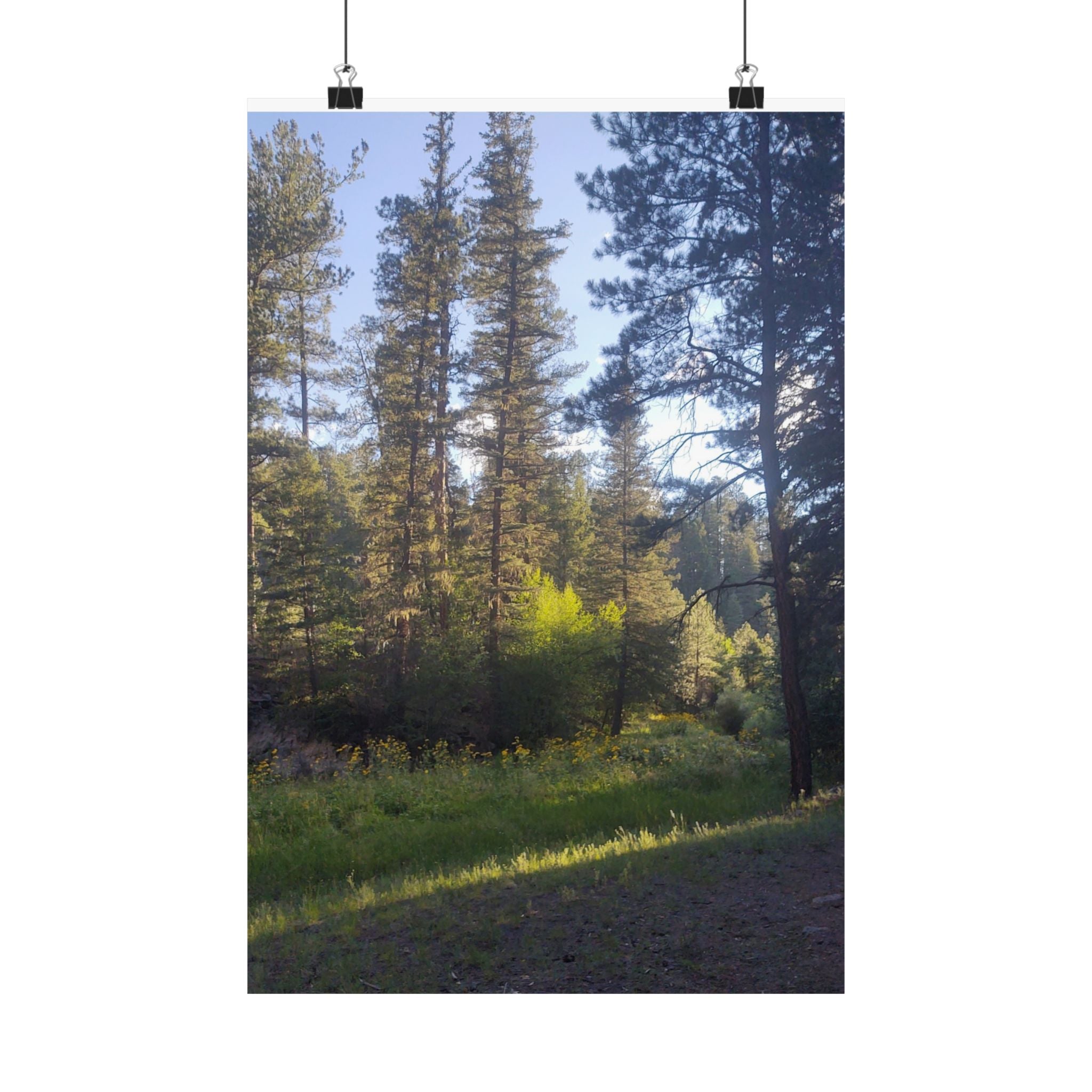 Nature-Inspired Matte Vertical Posters, Forest Wall Art, Home Décor, Greenery Prints, Gifts for Nature Lovers, Nature Photography