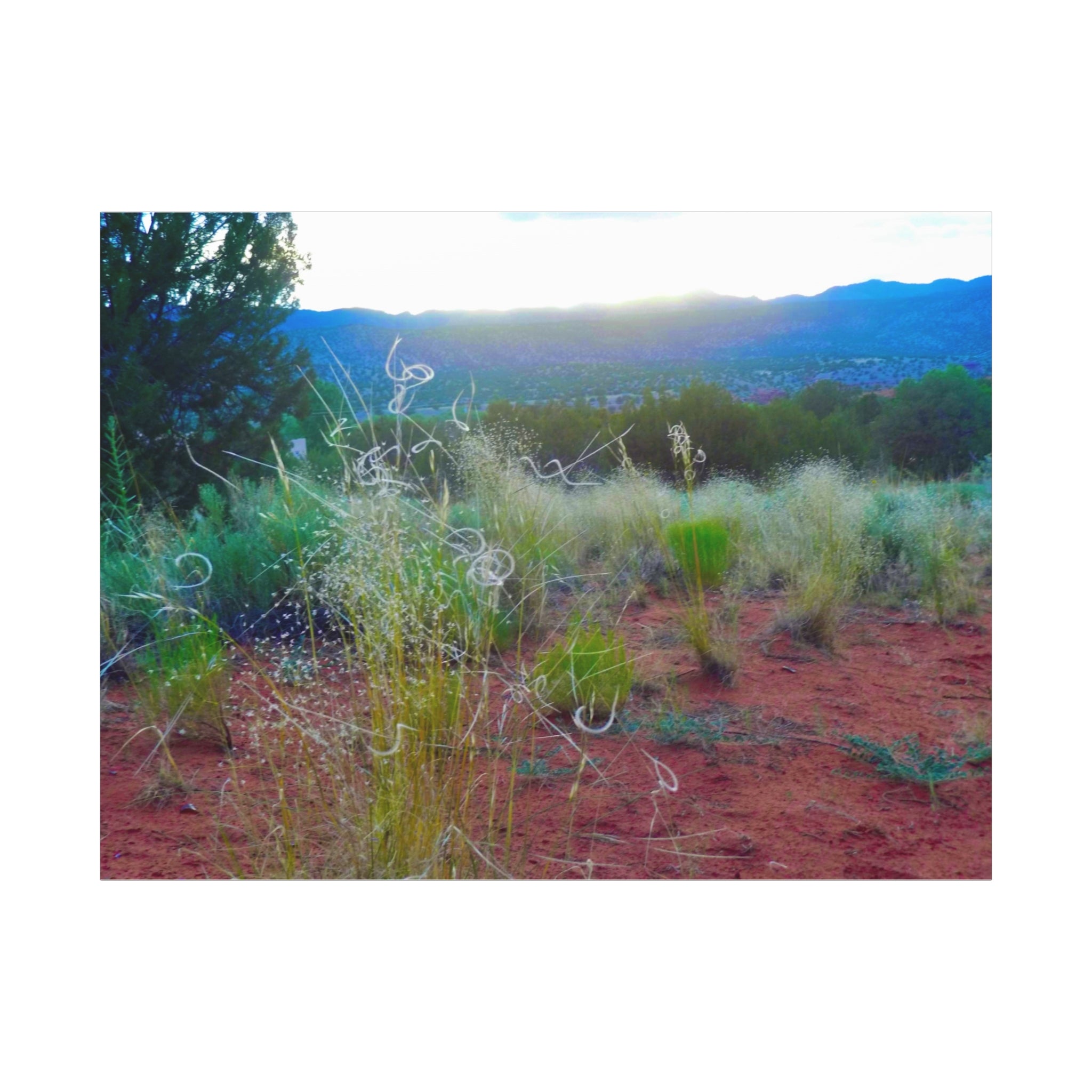 Stretched Canvas Art Print, Nature Wall Decor, Boho Home Decor, Rustic Landscape Art, Gift for Nature Lovers